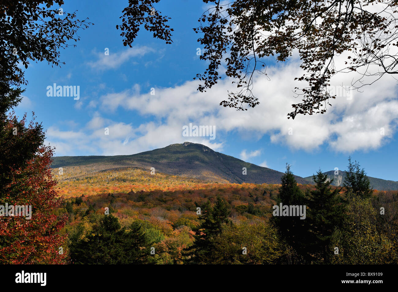 Herbst-Blick auf Mount Liberty von Flume Gorge im Franconia Notch State Park in Grafton County, New Hampshire Stockfoto