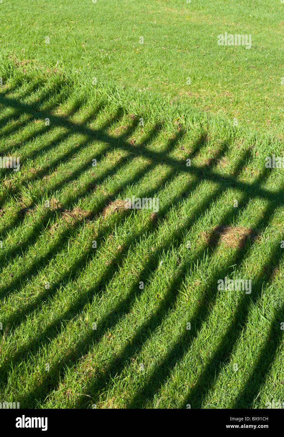 Shadow Cast auf grünen Rasen der Geländer entlang der Seite des einen Sportplatz Stockfoto