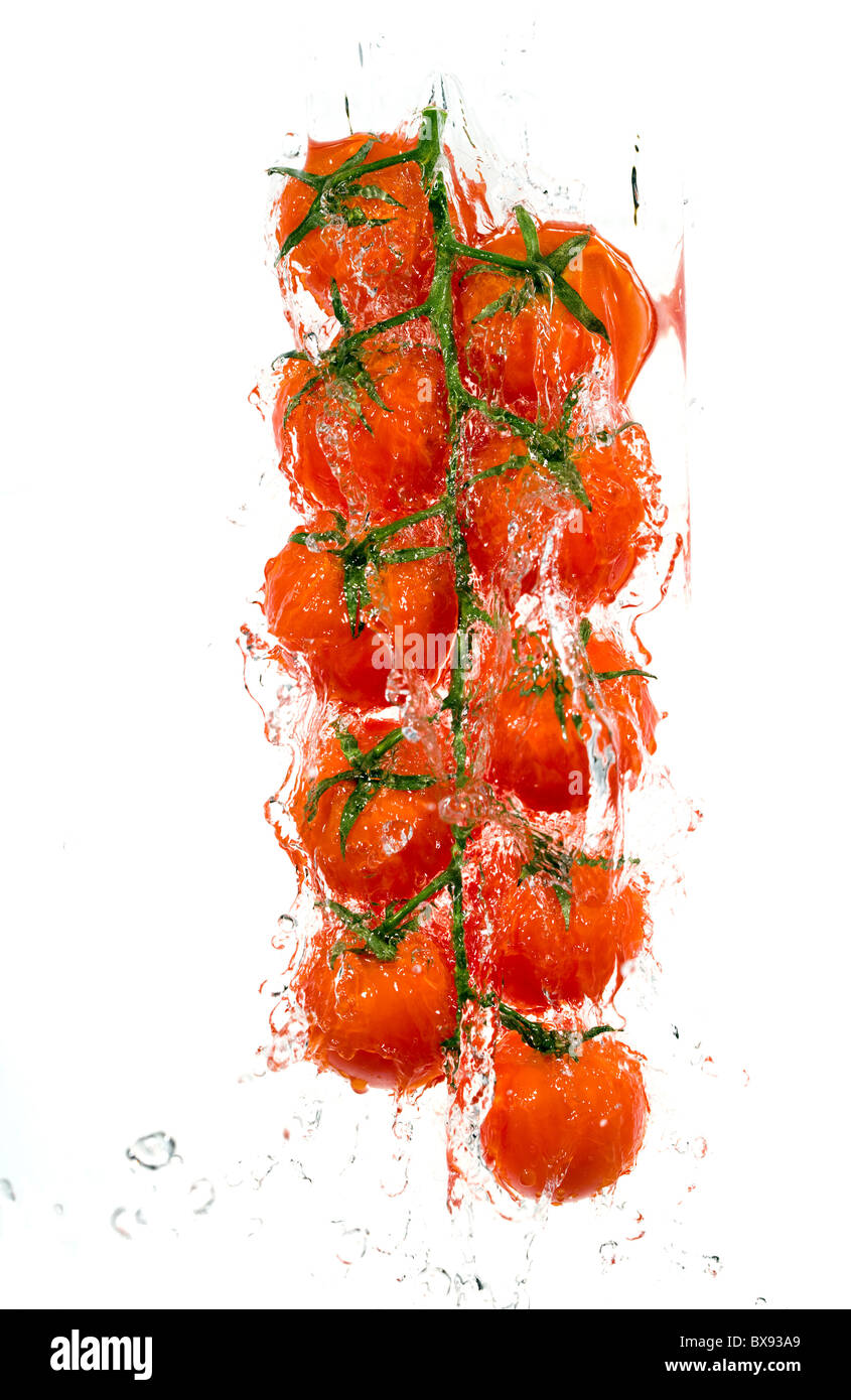Zweig der Tomaten in Wasser spritzt Stockfoto