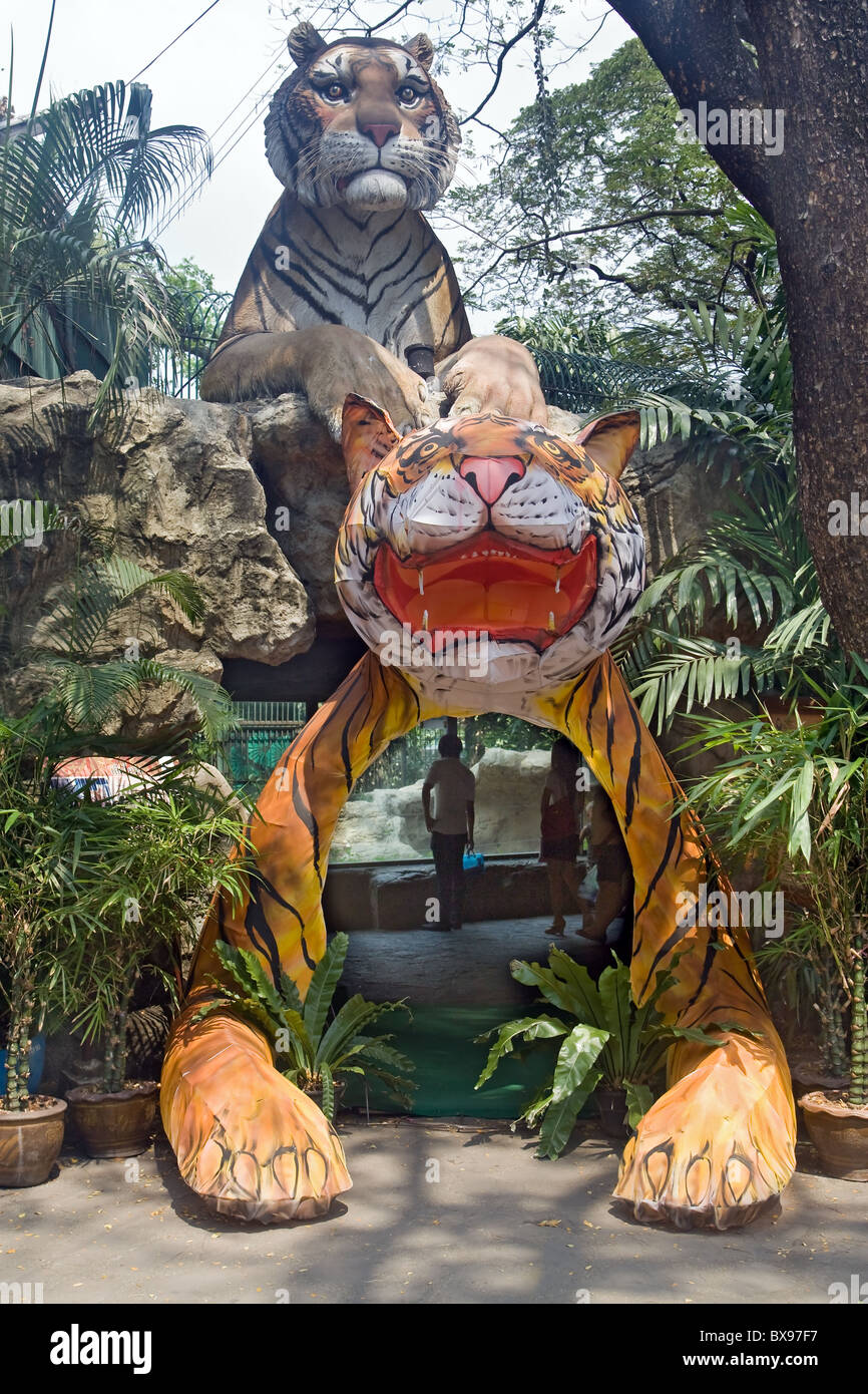 Pavillon-Tiger im Zoo Dusit Bangkok Stockfoto