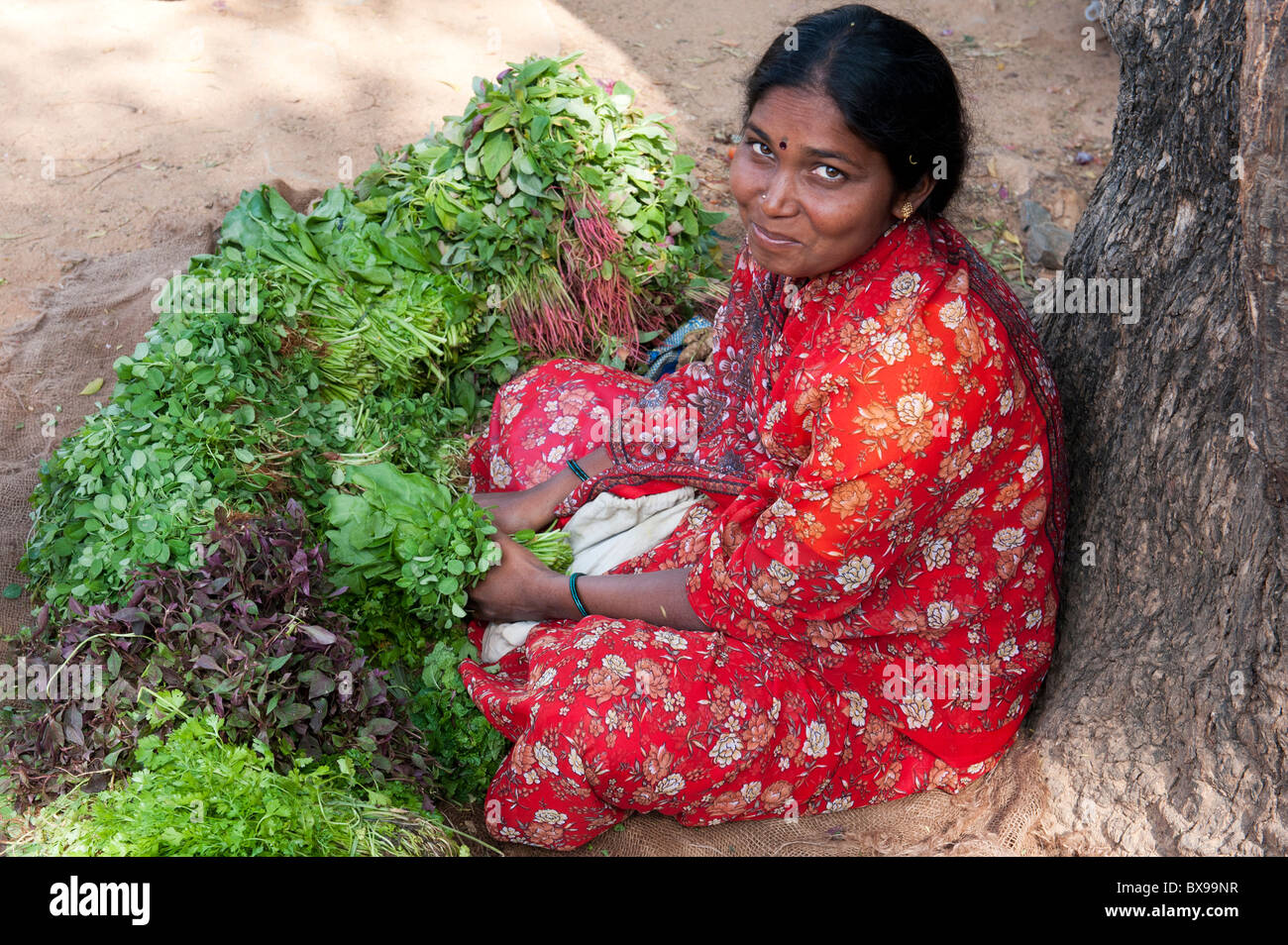 Indien-Frau verkaufen Sträuße frischer Kräuter und Spinat auf einem indischen Markt. Andhra Pradesh, Indien Stockfoto