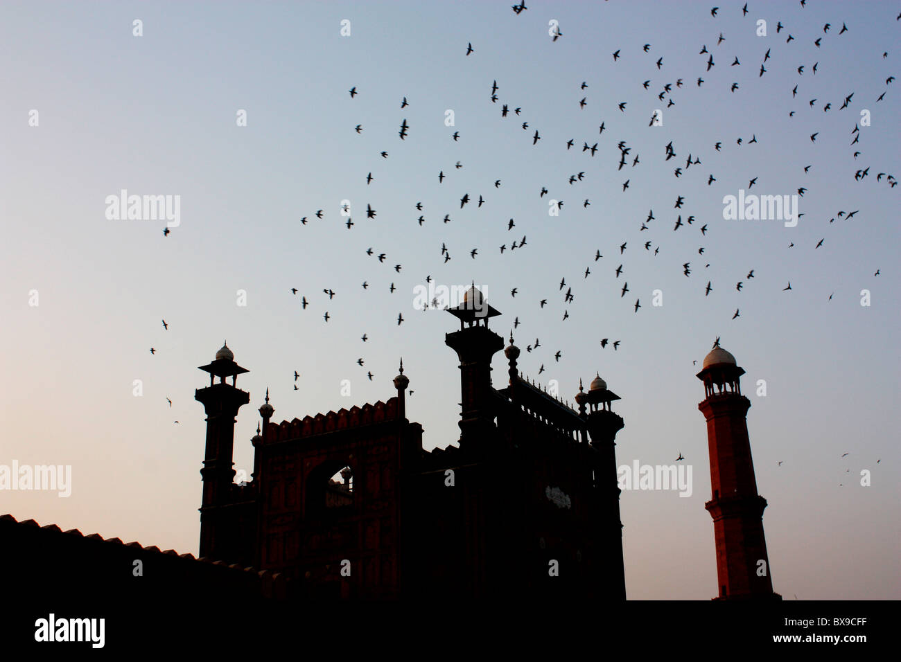 Vögel fliegen in den Hintergrund der Badshahi-Moschee in Lahore, Pakistan Stockfoto