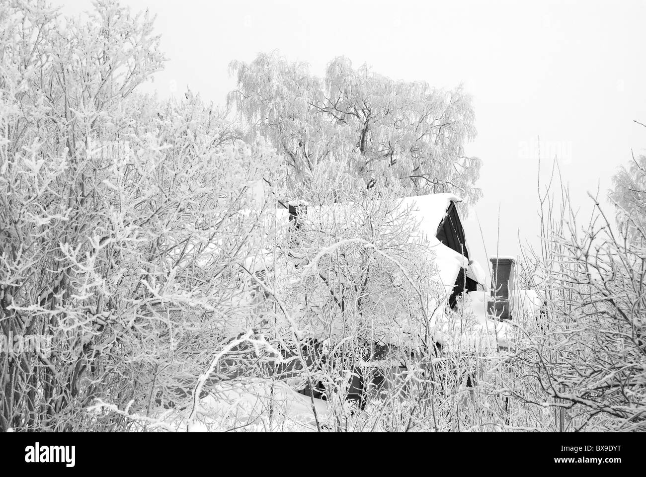 Protokolle-Hauses in einem Wintergarten unter Bäumen in einem Raureif gemacht Stockfoto