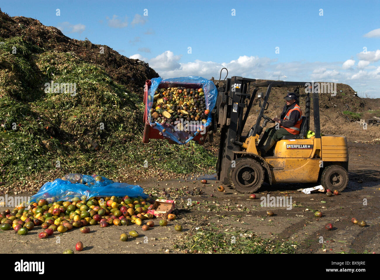 Gabelstapler am Standort für das recycling, Essen und Garten Abfall Suffolk UK Stockfoto