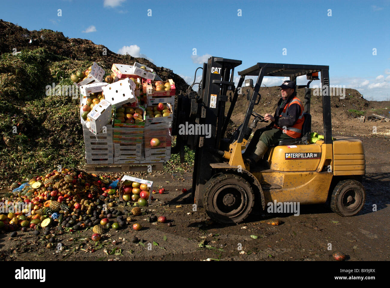 Gabelstapler am Standort für das recycling, Essen und Garten Abfall Suffolk UK Stockfoto
