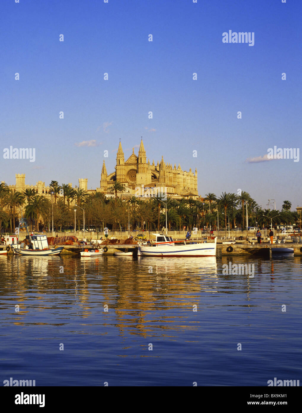 Mallorca, Kathedrale von Palma Stockfoto