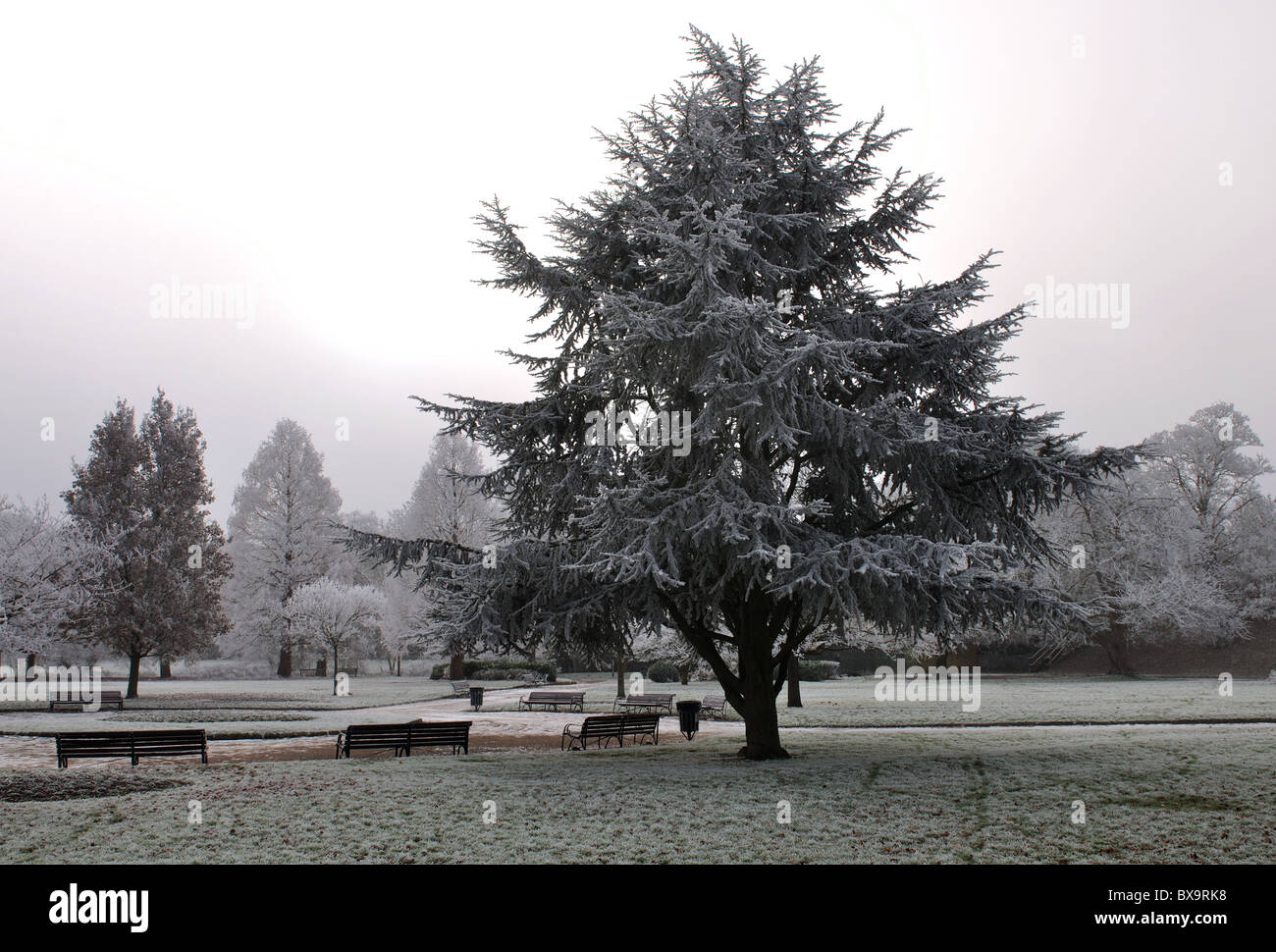 St. Nicholas Park im Winter, Warwick, Warwickshire, England, UK Stockfoto