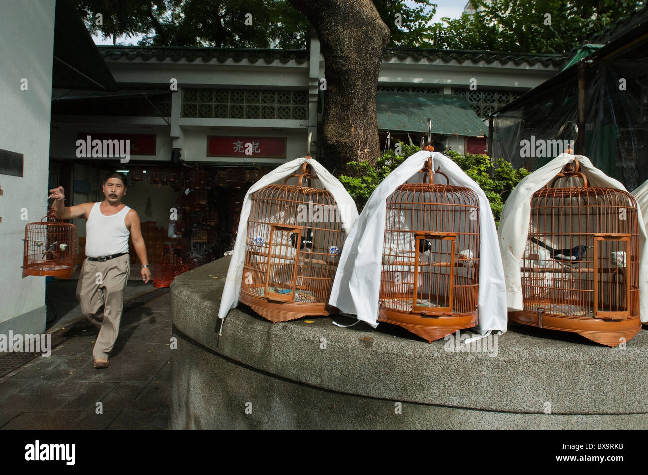 Markt-Verkäufer verkaufen Käfig Vögel, Kowloon, Hong Kong, China. Stockfoto