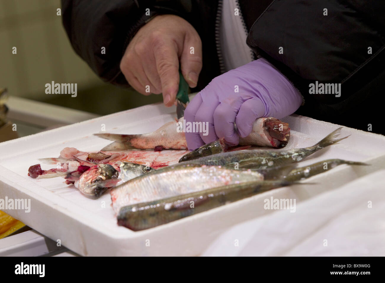 Fischhändler Filetieren Fisch Billingsgate Markt; London Stockfoto