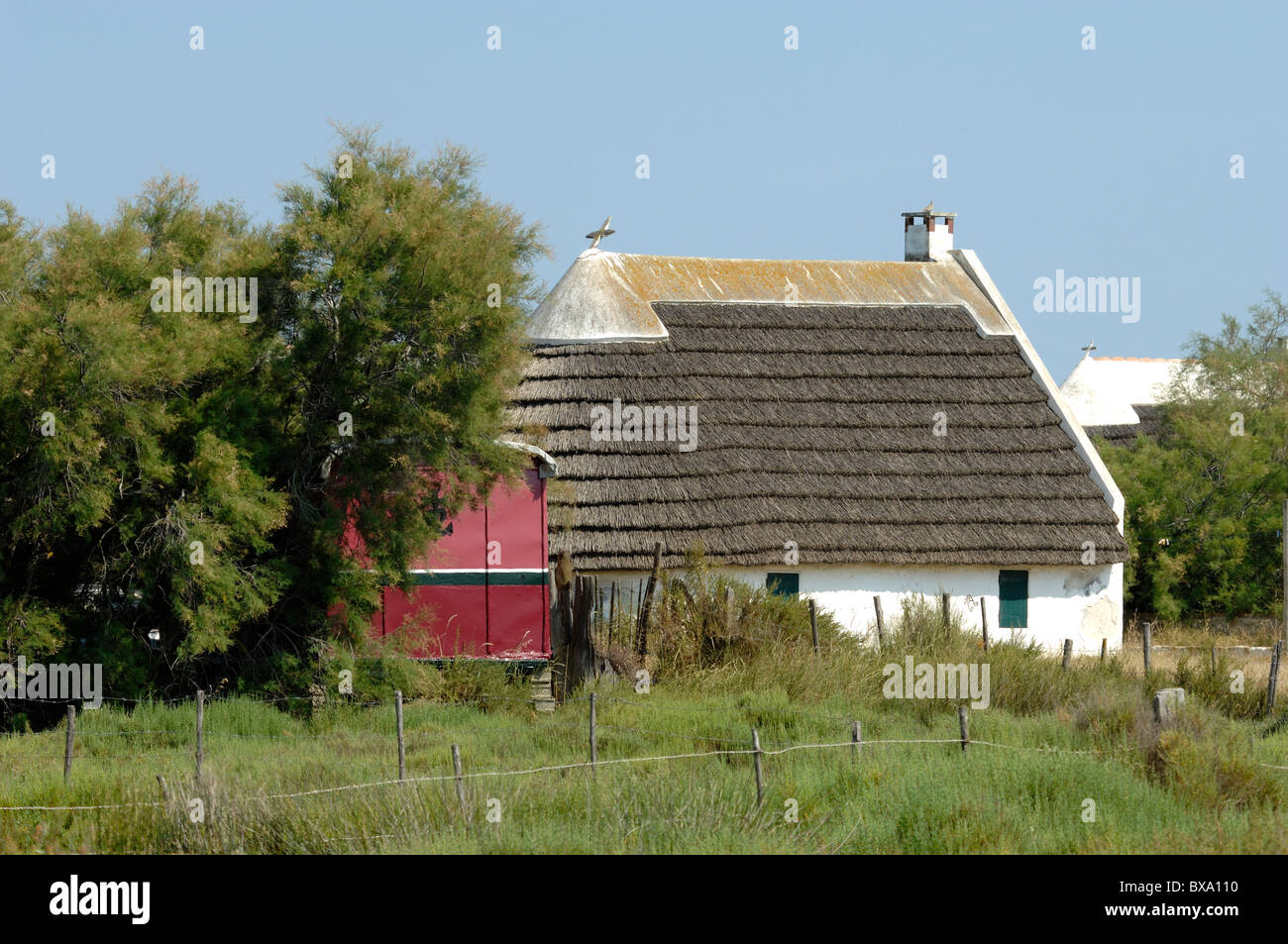 Reetgedeckte Camargue House, Cottage oder Guardian's House, Saintes-Maries-de-la-Mer, Camargue, Provence, Frankreich Stockfoto