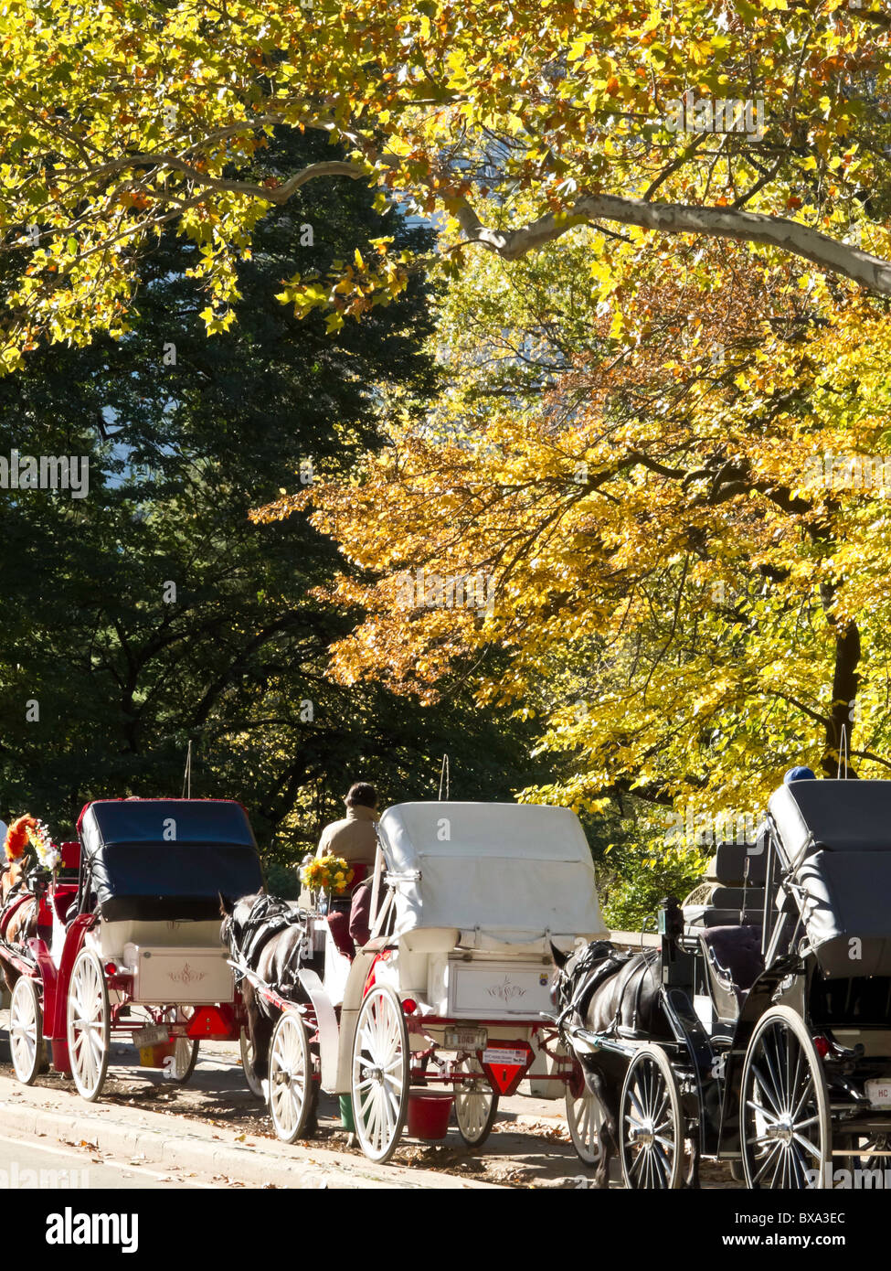 Kutsche fahren, Central Park, New York Stockfoto