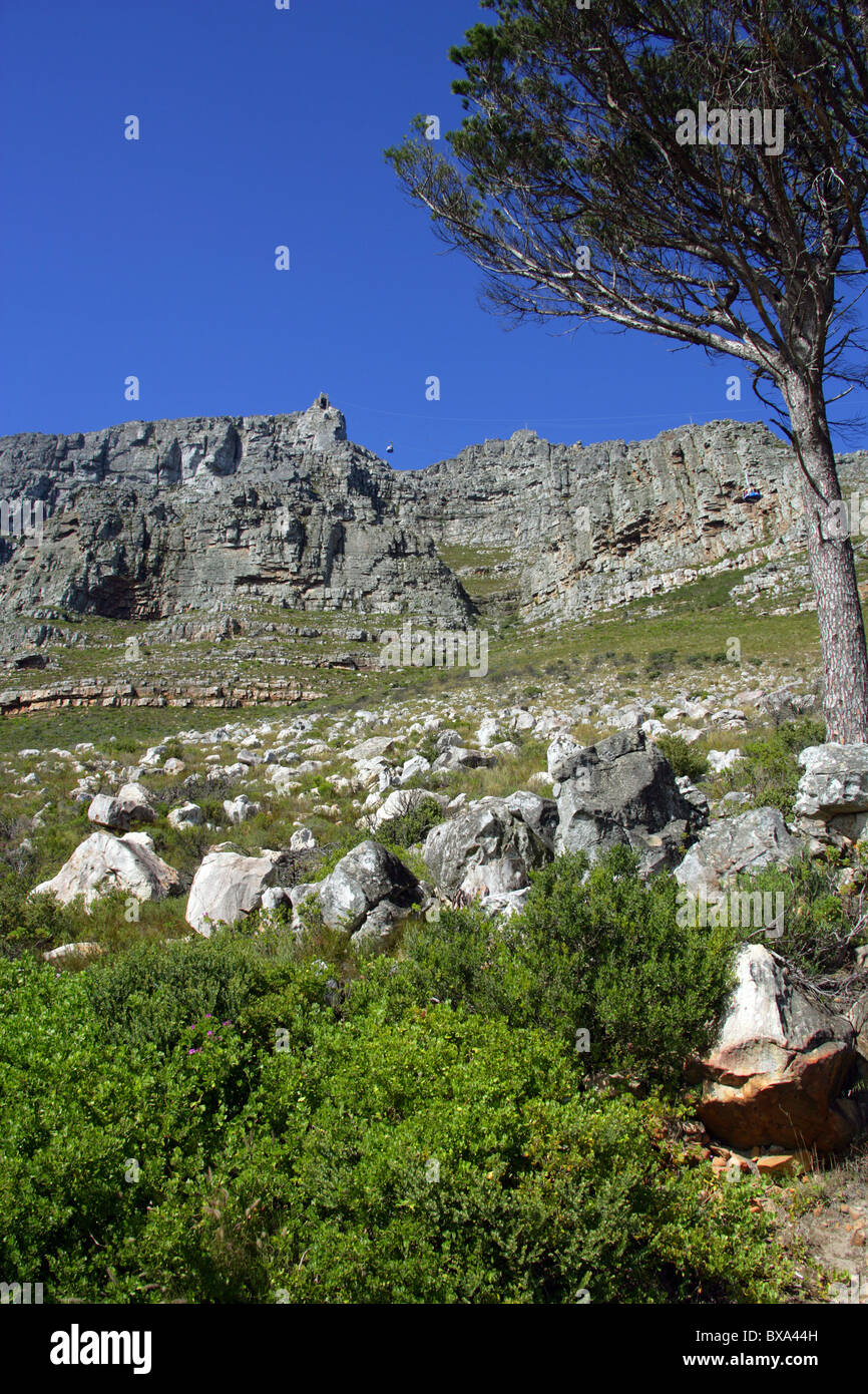 Tafelberg und Seilbahn, Cape Town, Western Cape Province, Südafrika. Stockfoto