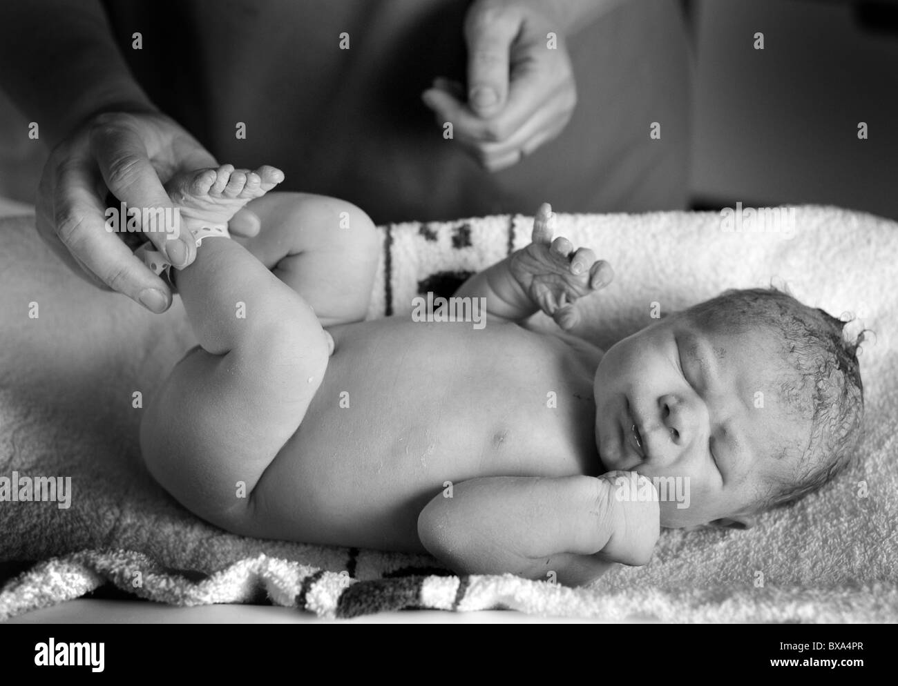 Neues Baby geboren 1 Minute alt von Hebamme geprüft Stockfoto