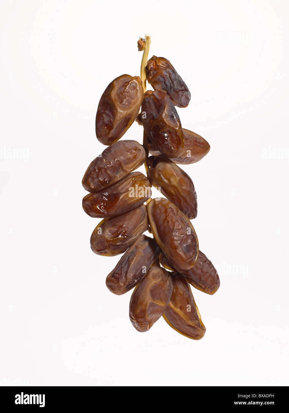 Getrocknete Medjool Datteln Stockfoto