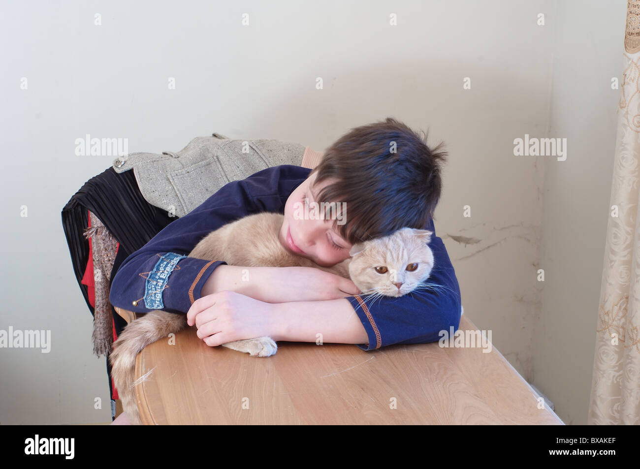 Der weiße Junge auf einem Stuhl hat eine Katze einen Kopf aufsetzen Stockfoto