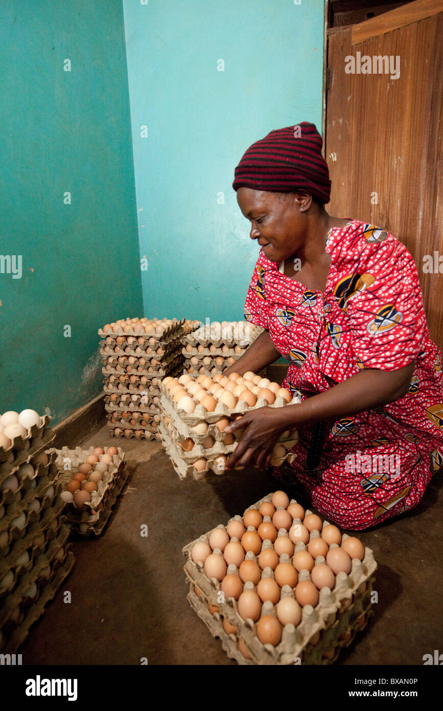 Frau Rachael Mulongo verkauft Eiern in Jinja District, östlichen Uganda, Ostafrika. Stockfoto