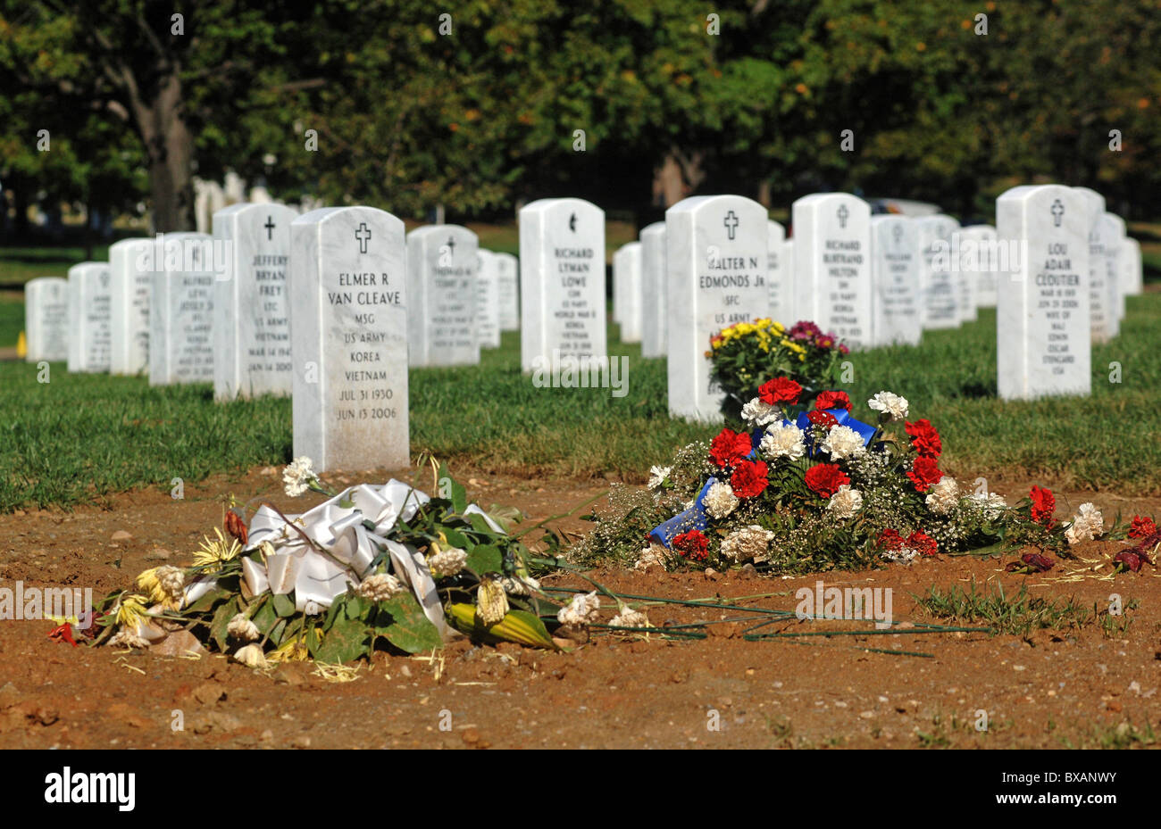 Blumen am Grab auf dem Nationalfriedhof Arlington, Arlington, USA Stockfoto