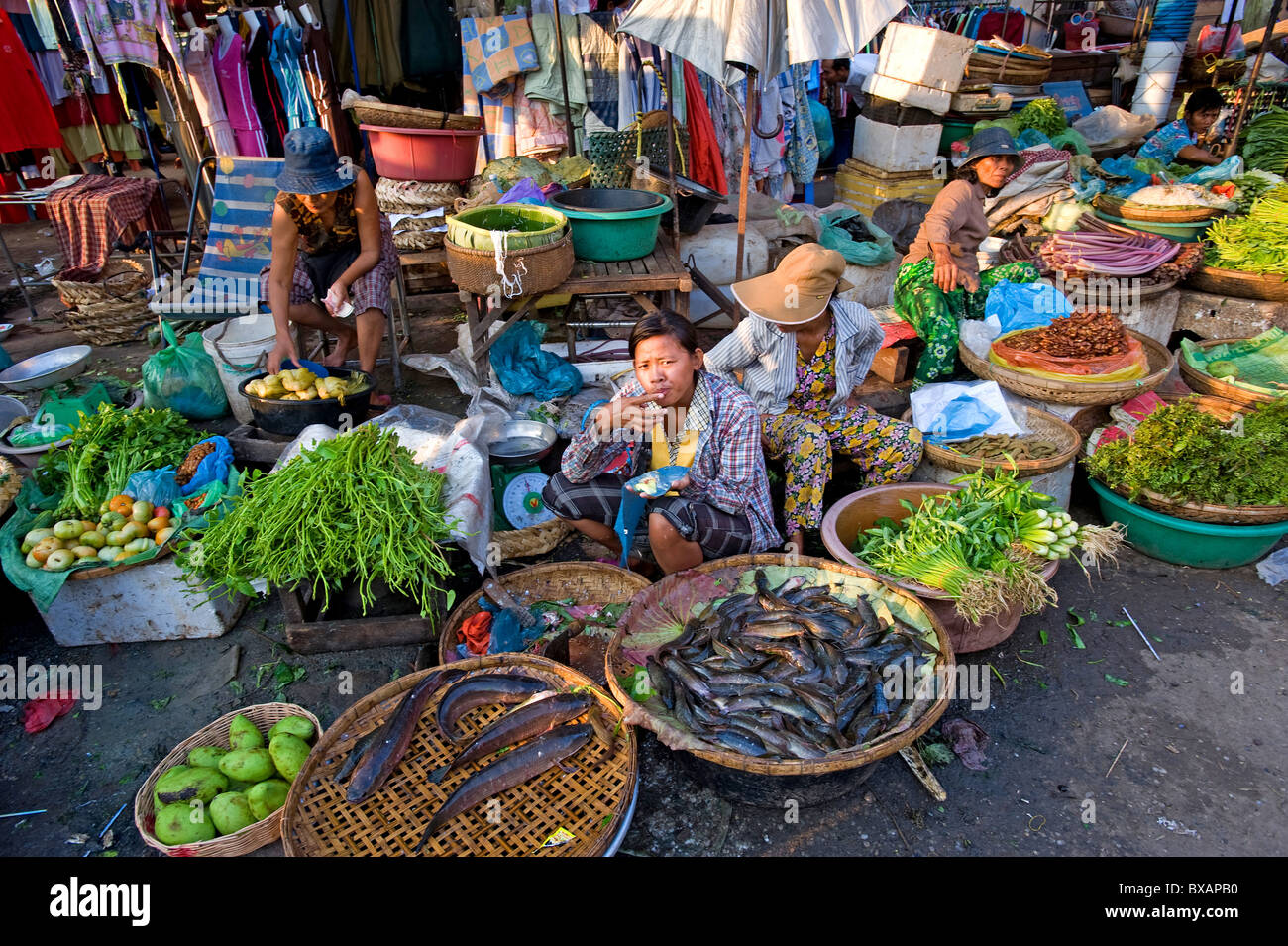 Verkäufer in einem Markt, Phnom Penh, Kambodscha Stockfoto