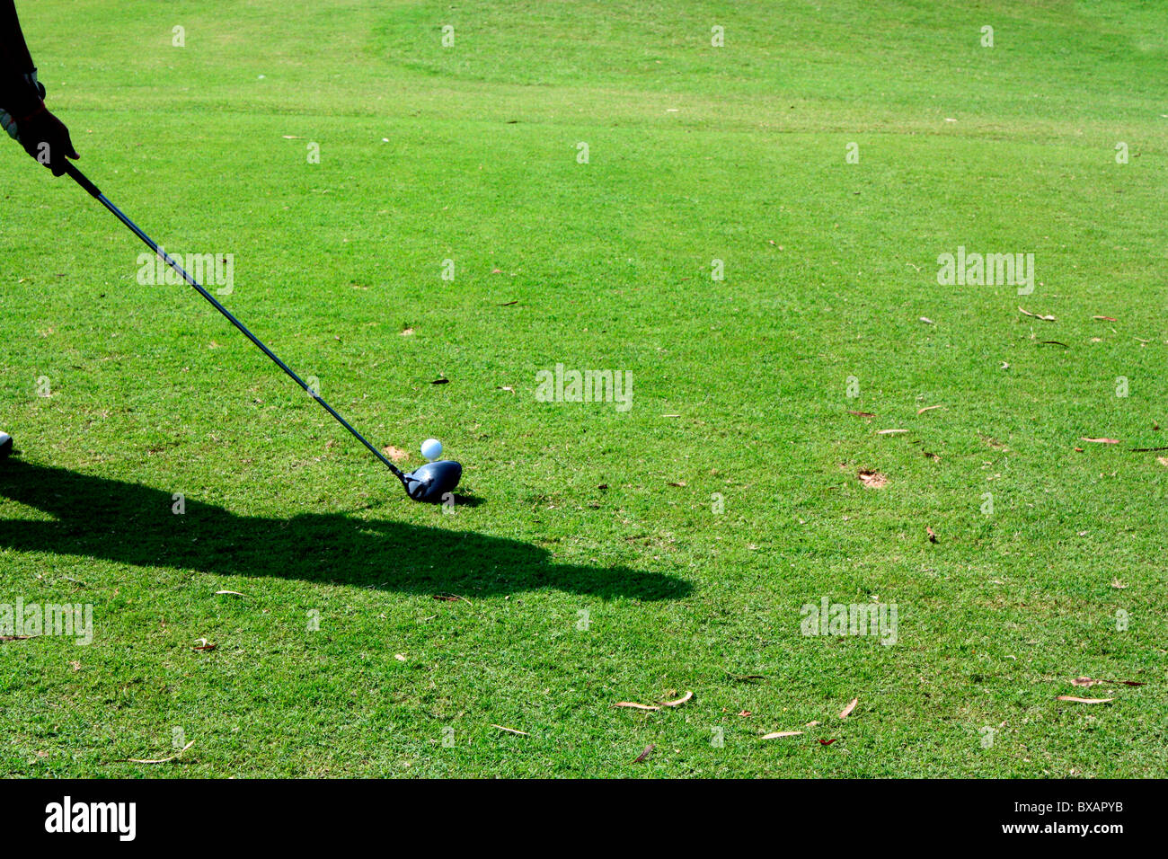 Ein Golfer-t-Stück mit einem Treiber offing Stockfoto