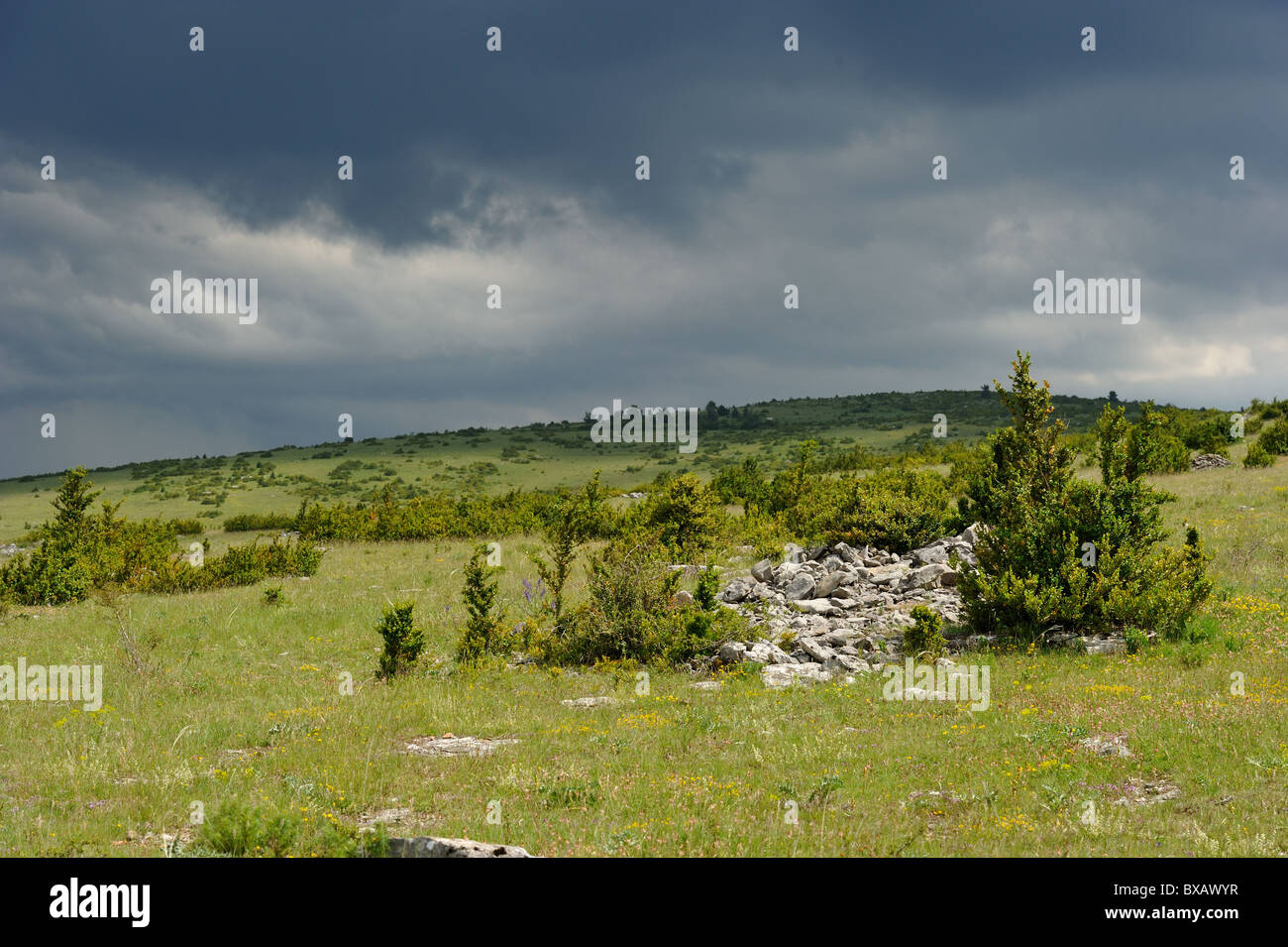 Blick auf den Causse Méjean unter schweren Wolken vor Regen-Sturm im Sommer - Cevennen - Frankreich Stockfoto