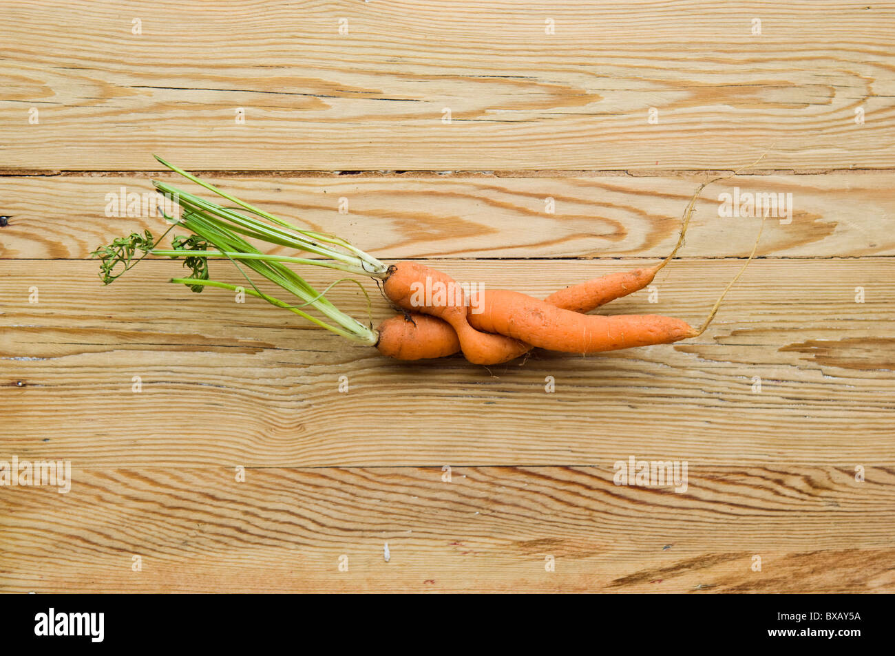 Bizarre gebundene Karotten Stockfoto