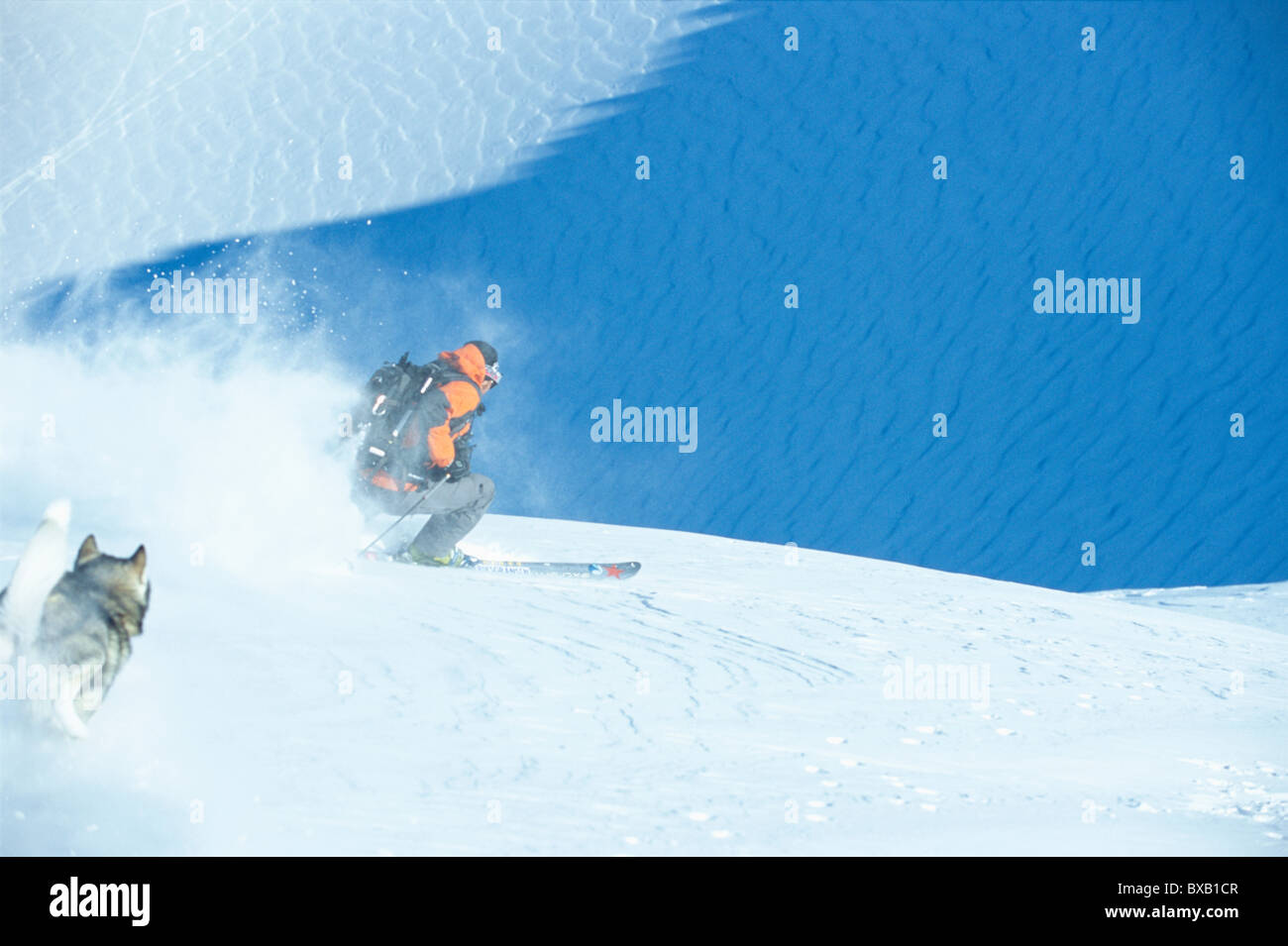 Husky laufen bergab nach Skifahrer Stockfoto