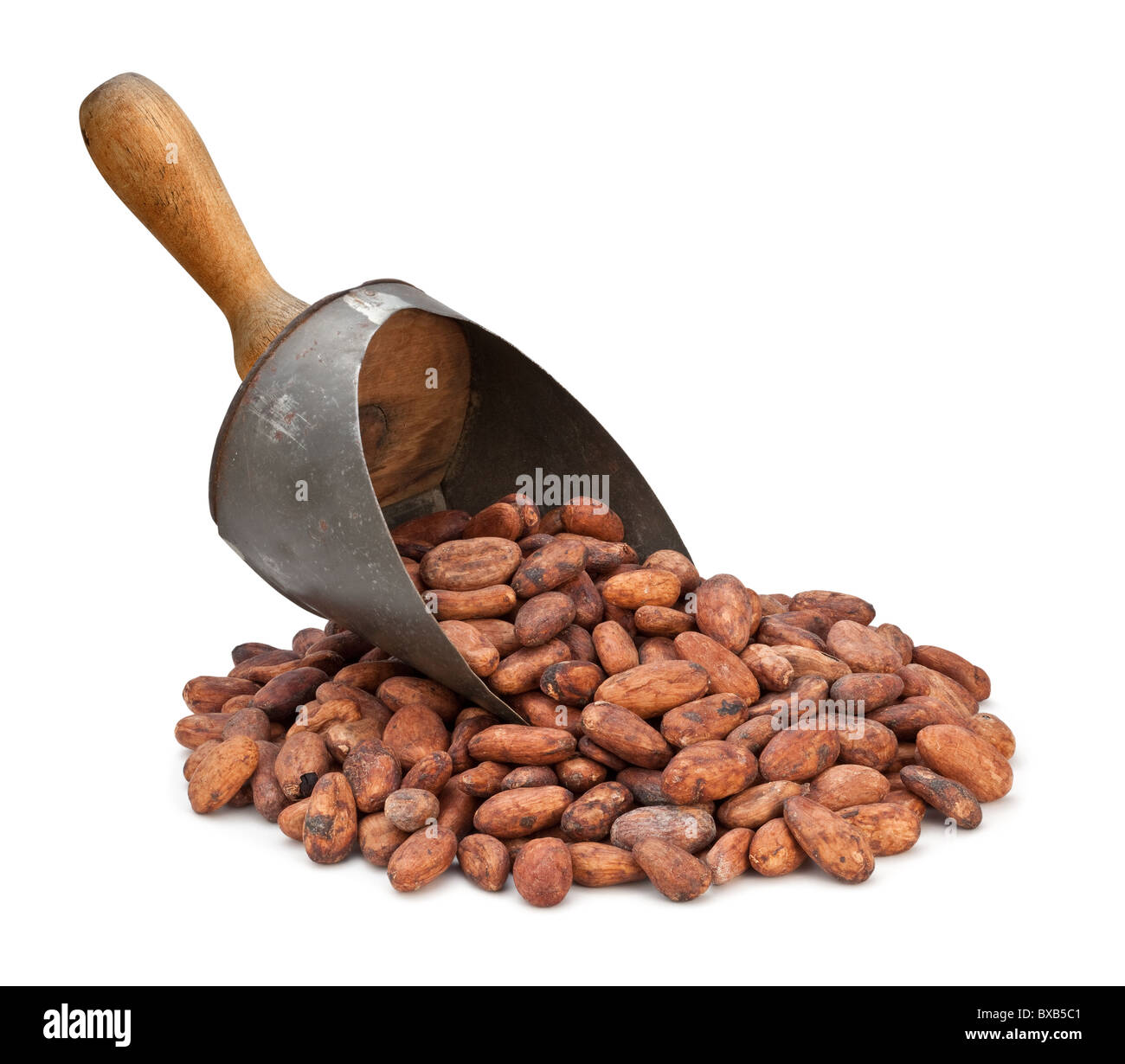 Kakaobohne Scoop isoliert auf einem weißen Hintergrund. Stockfoto