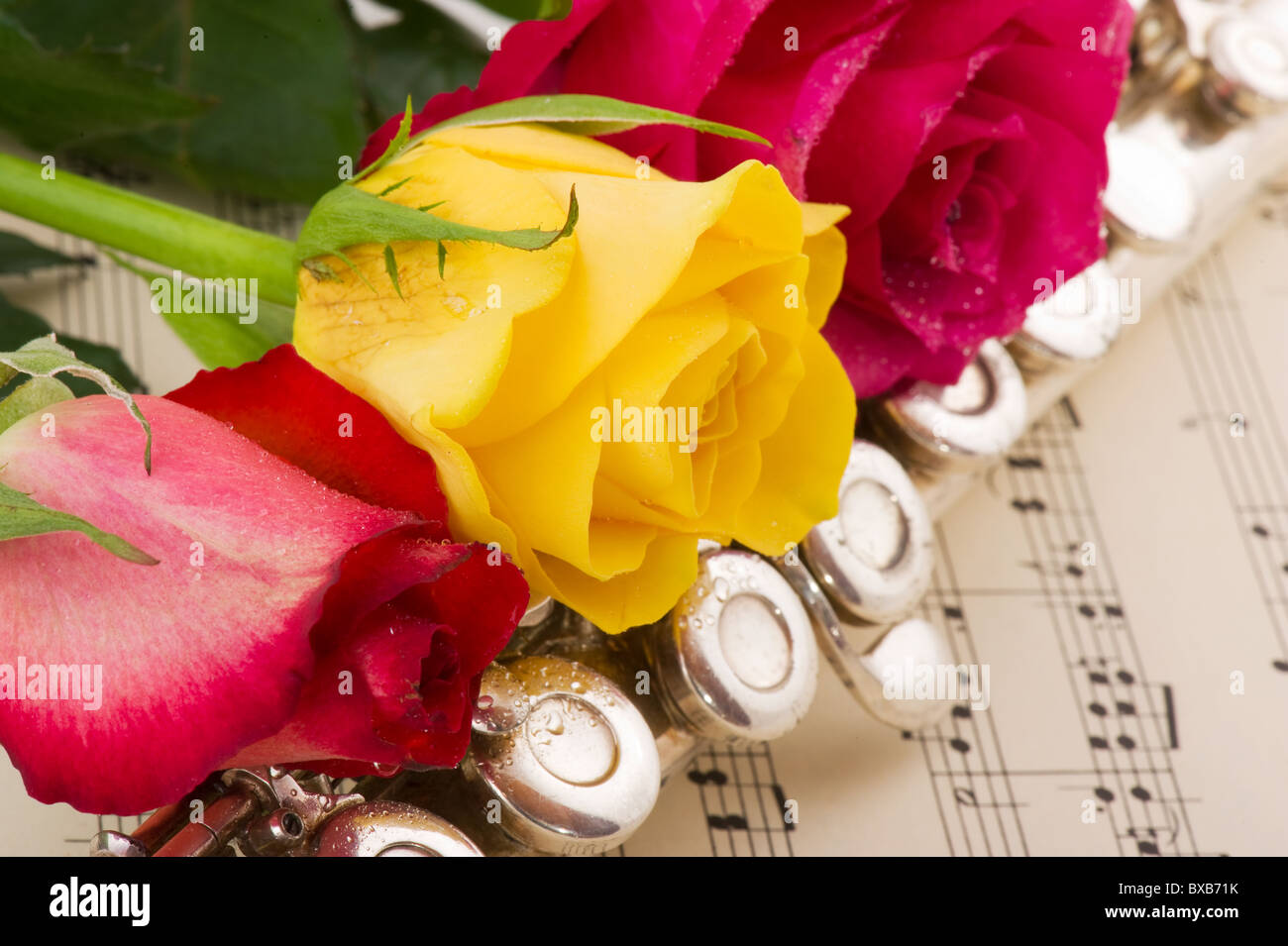 Musikalische Gestaltung mit Rosen und silberne Querflöte Stockfoto