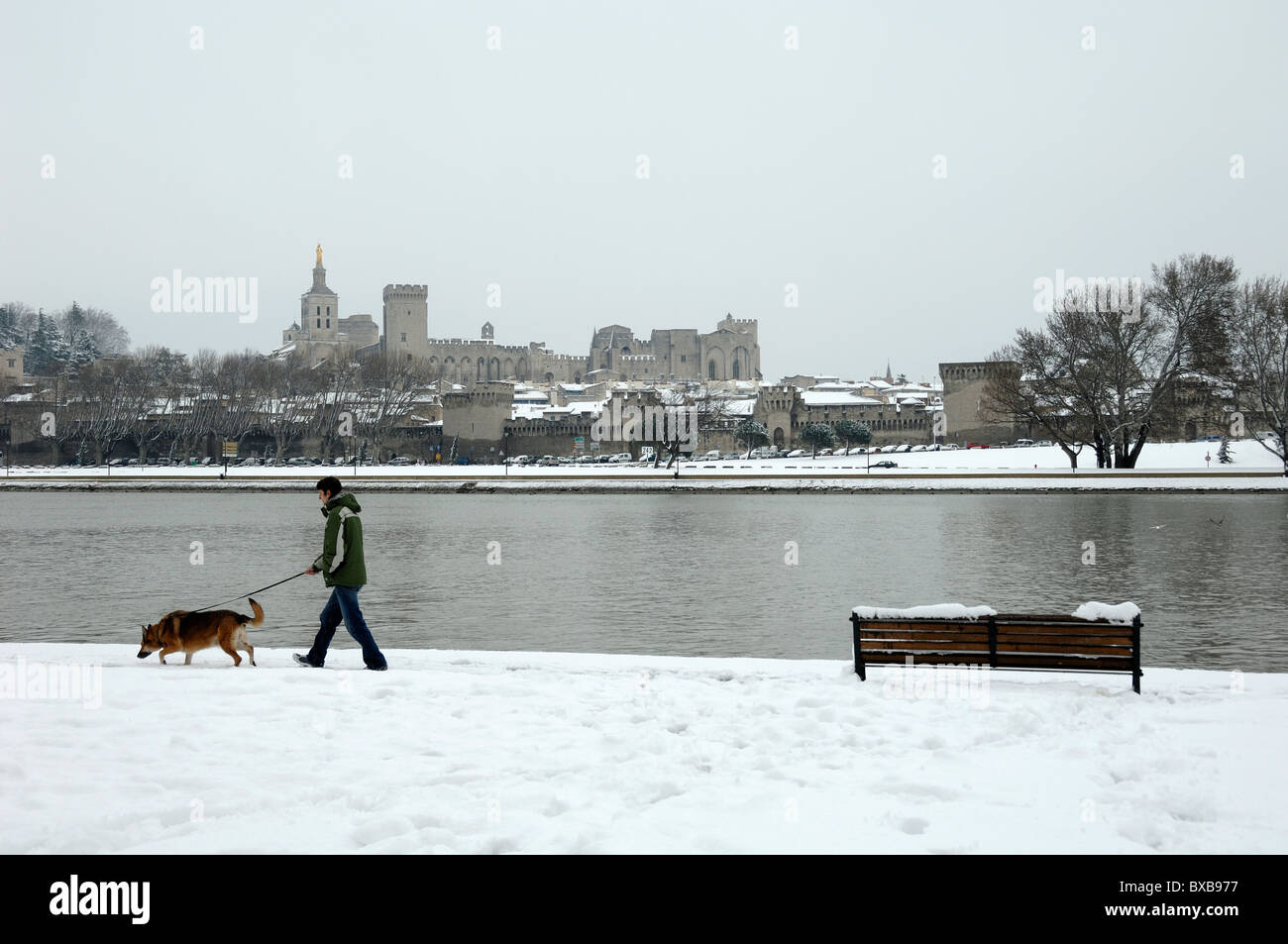 Man Walking Hund im Schnee an Ufern des Flusses Rhone in Avignon, Vaucluse, Provence, Frankreich Stockfoto