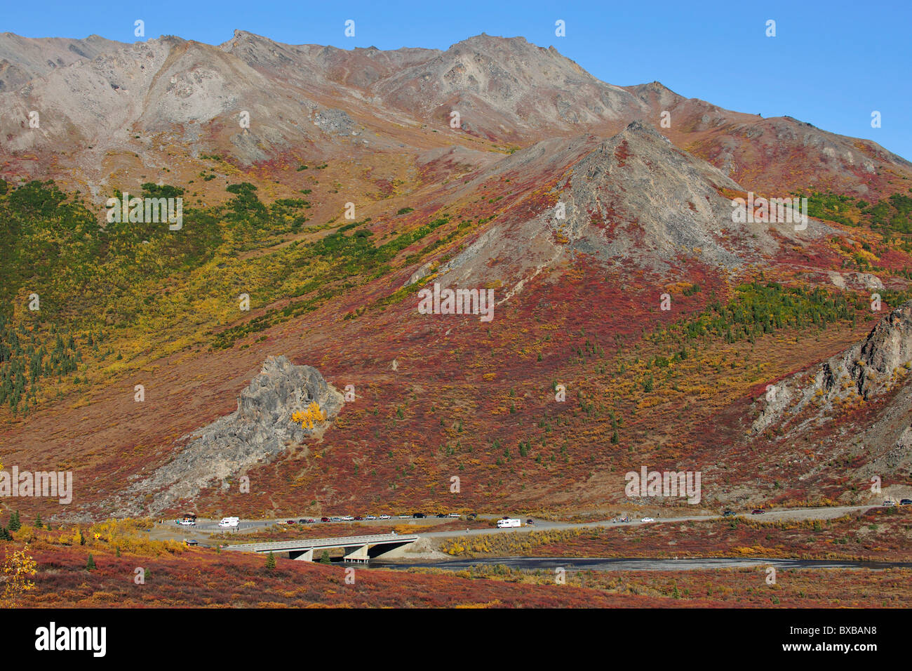 Savage River, Denali-Nationalpark, Alaska Stockfoto