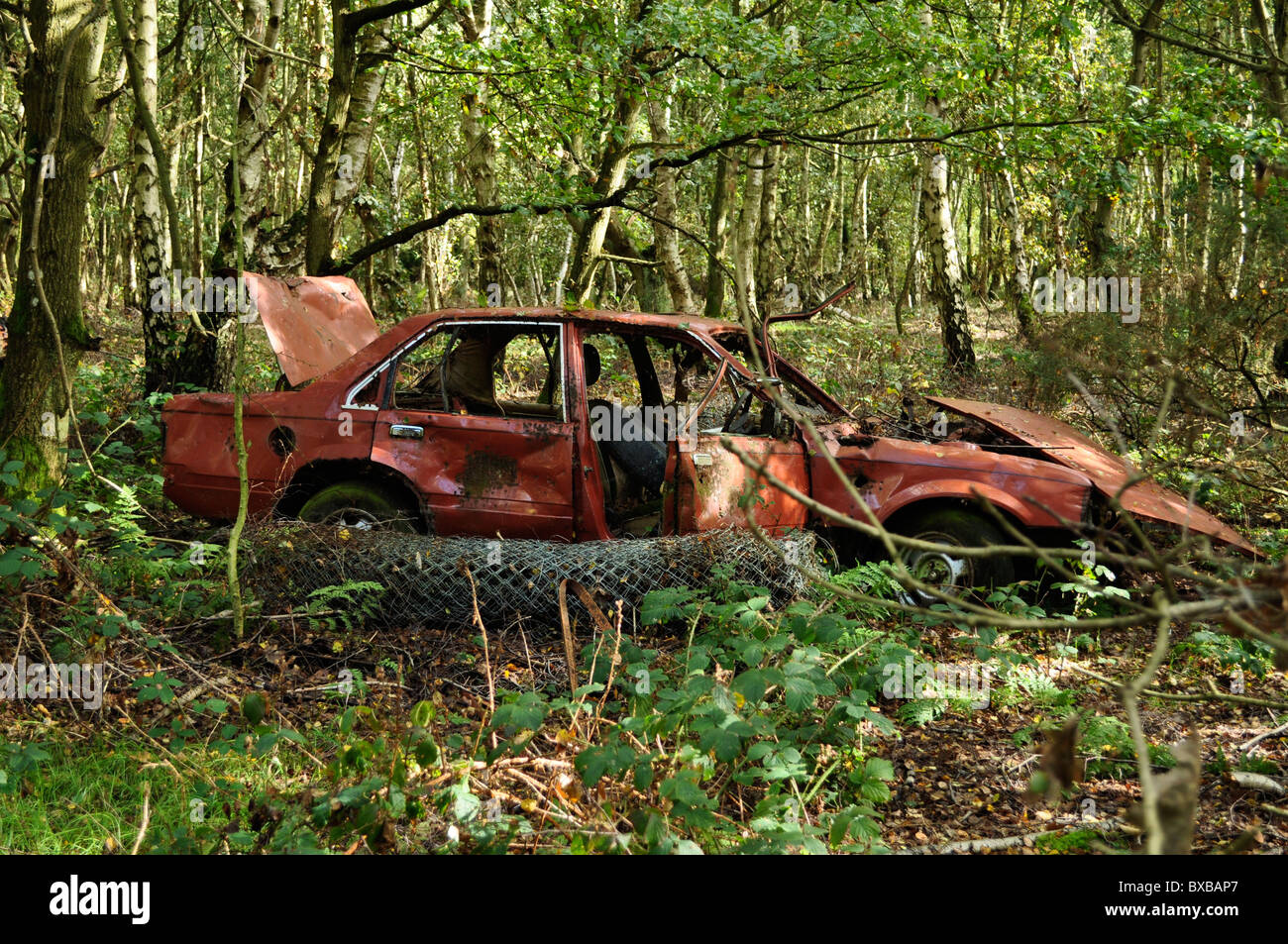 Umweltverschmutzung, gedumpten Autowrack im Wald Stockfoto