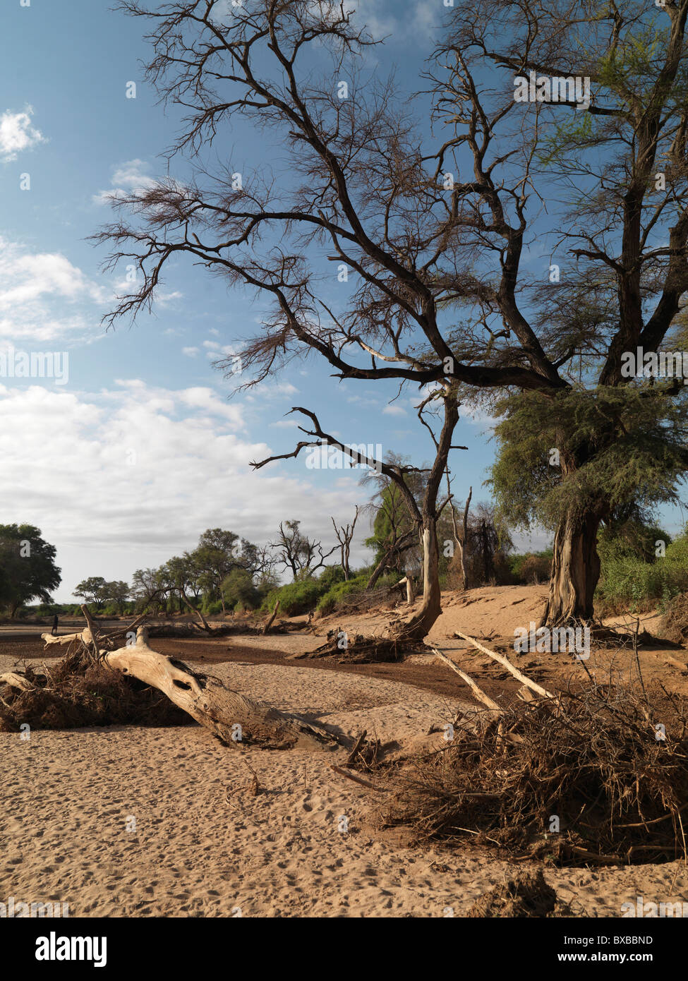 Getrocknete Flussbett in Kenia Afrika Stockfoto