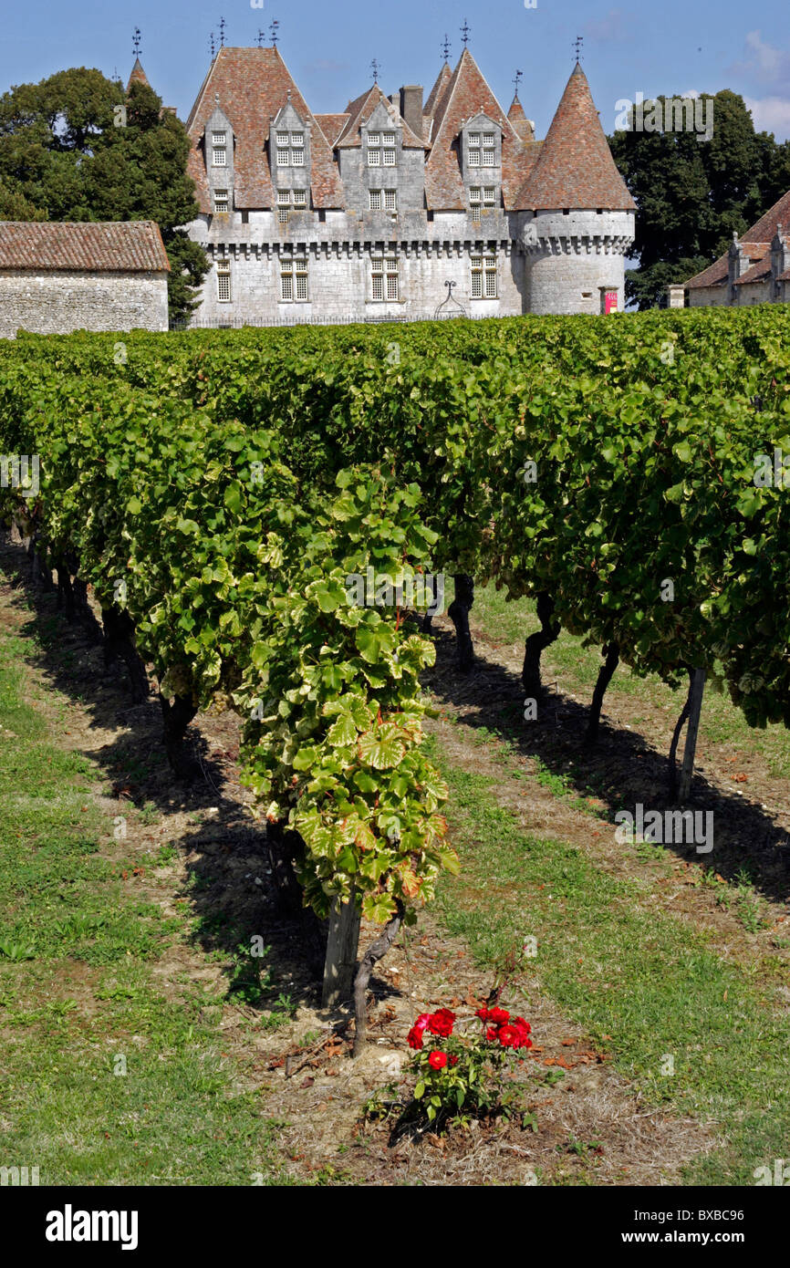 Chateau Monbazillac Weinberg, Dordogne, Aquitaine, Frankreich, Europa Stockfoto
