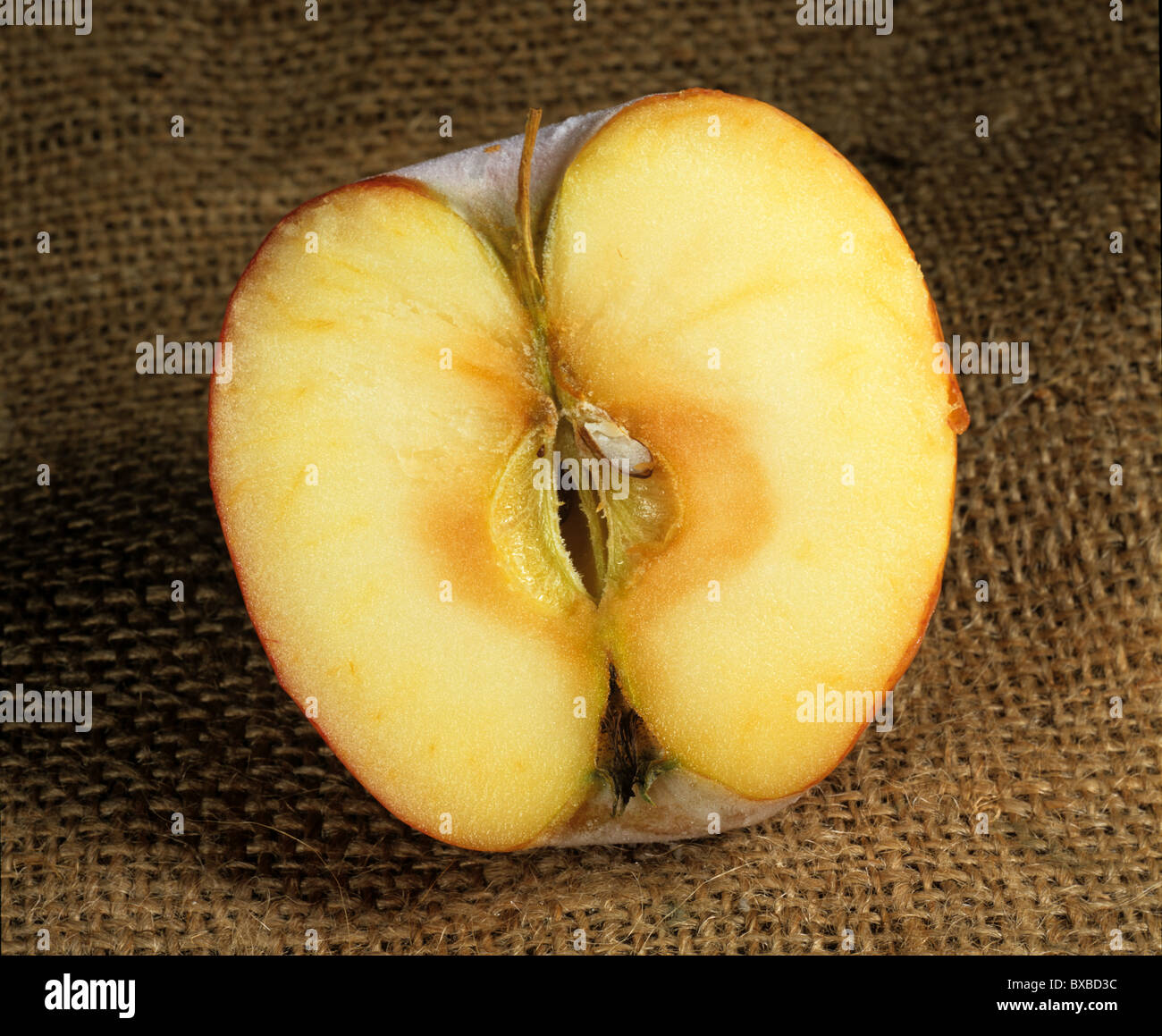 Schnitt durch einen gefrorenen Apfel gefrostet und Fleisch beschädigt Stockfoto