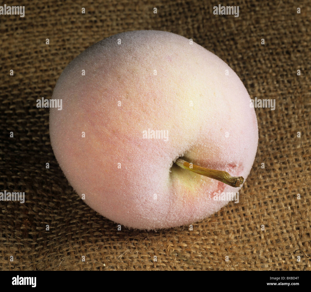 Gefrorenen Apfel ungeschnitten und gefrostet Stockfoto