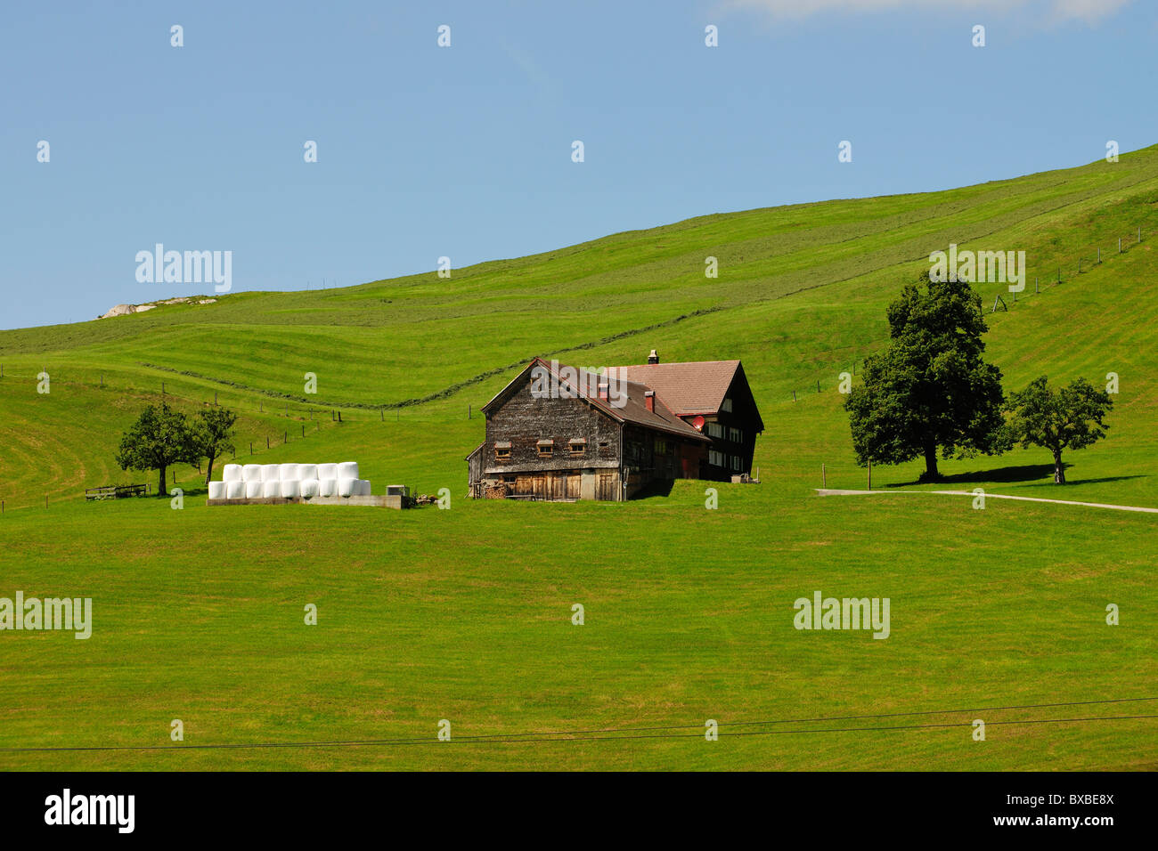 Bauernhaus im Kanton Appenzell, Schweiz, Europa Stockfoto