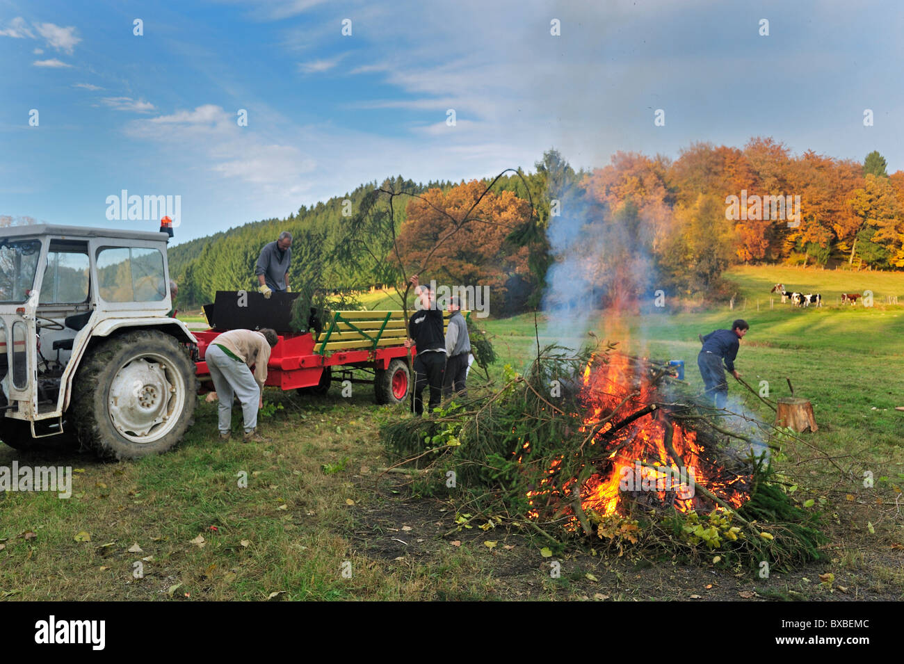 Arbeitende Jugendlichen machen riesige Feuer durch das Verbrennen von Beschneidungen / Drum und dran auf Bauernhof, Ardennen, Belgien Stockfoto
