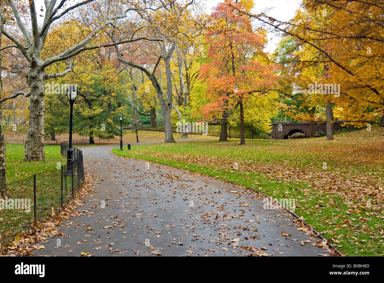 Central Park in New York City. Stockfoto