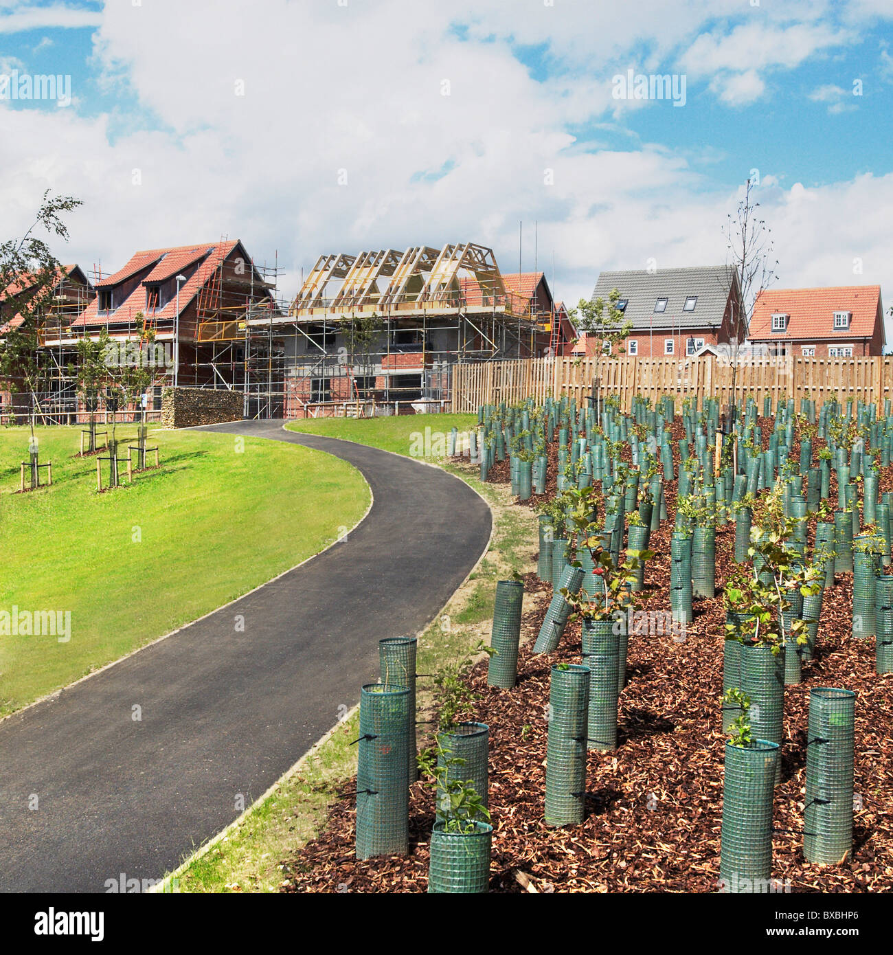 Landschaftsbau umgebenden Wohnsiedlung im Bau Norwich Norfolk UK Stockfoto