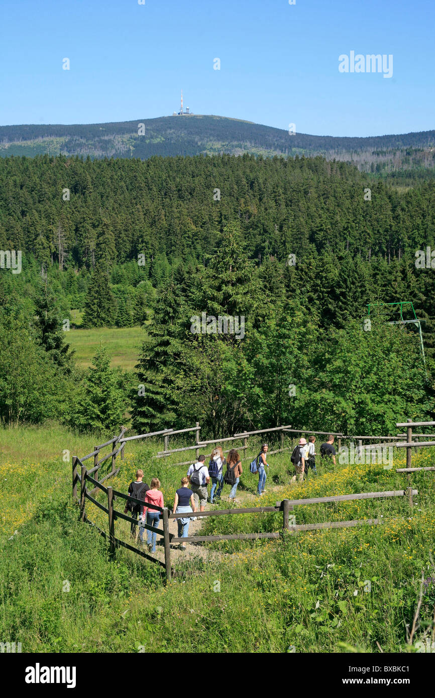 Blick auf den Berg Brocken von Torfhaus, Harz Mountains, Deutschland Stockfoto