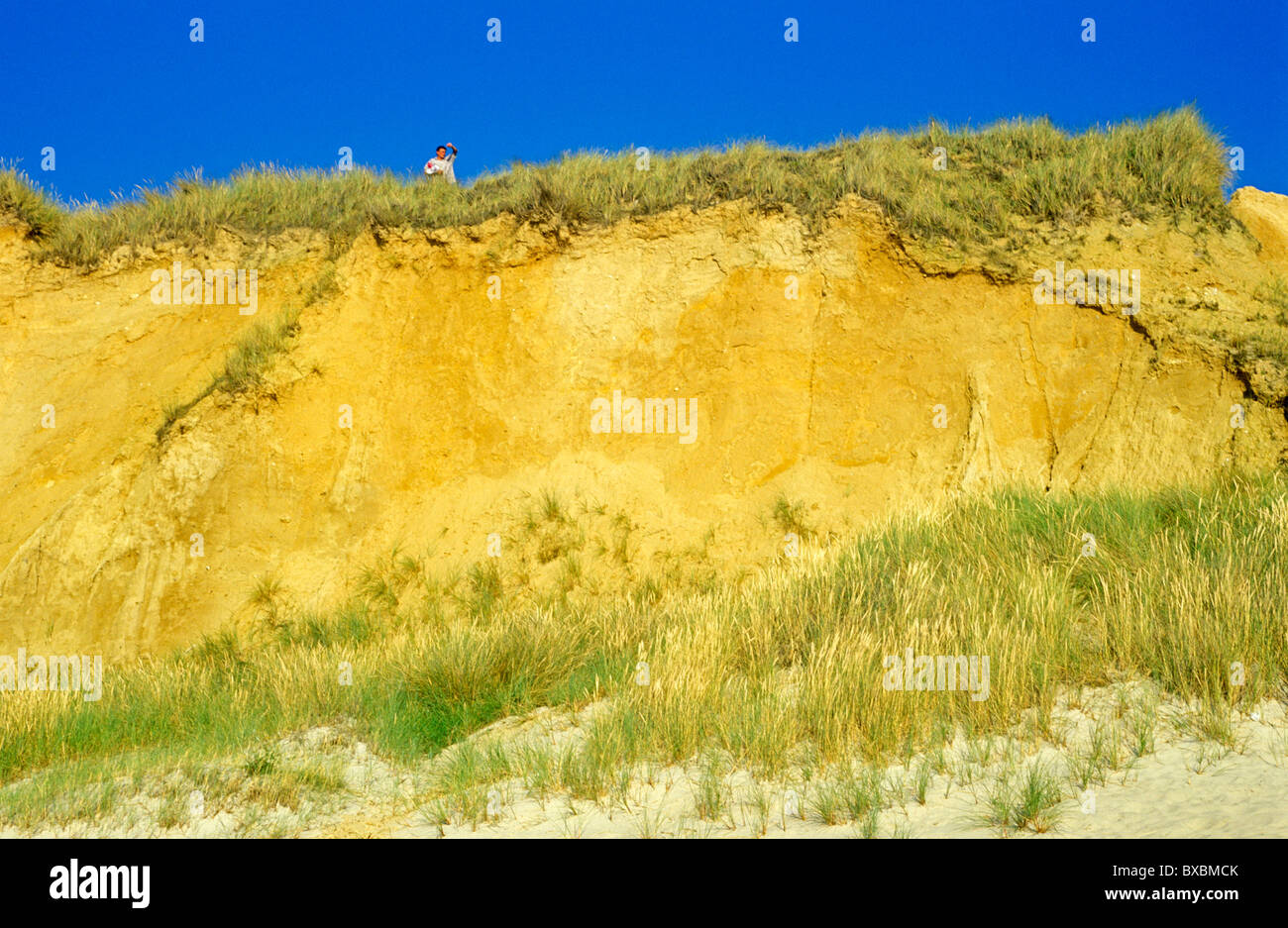 Red Cliff in der Nähe von Kampen, Sylt, Insel, Meer, Nordfriesland, Schleswig-Holstein, Norddeutschland Stockfoto