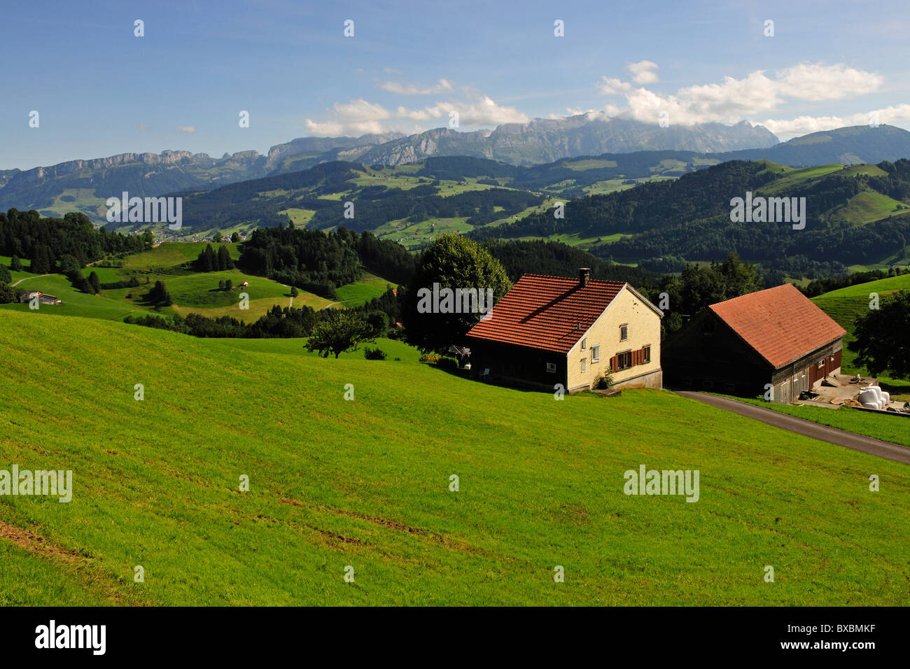 schweizer landschaft im kanton bern