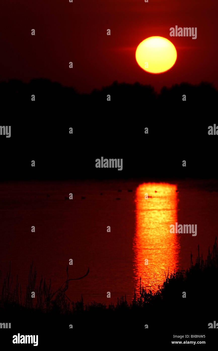 Sonnenuntergang über dem Vreugderijkerwaard Fluss IJssel Stockfoto
