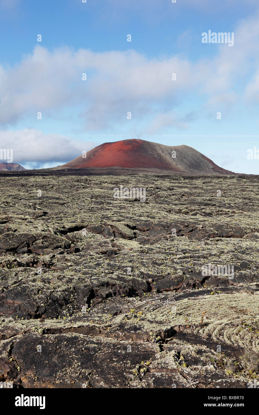 Caldera Colorada Vulkan, Lavafeld mit Flechten, Lanzarote, Kanarische Inseln, Spanien, Europa Stockfoto