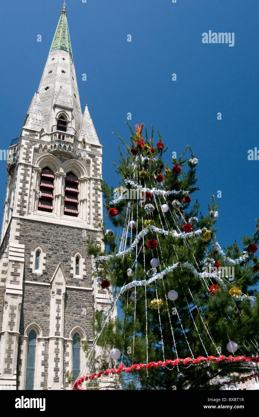 Weihnachtsbaum in der Kathedrale in Christchurch, Neuseeland, vor dem verheerenden Erdbeben Februar 2011. Stockfoto