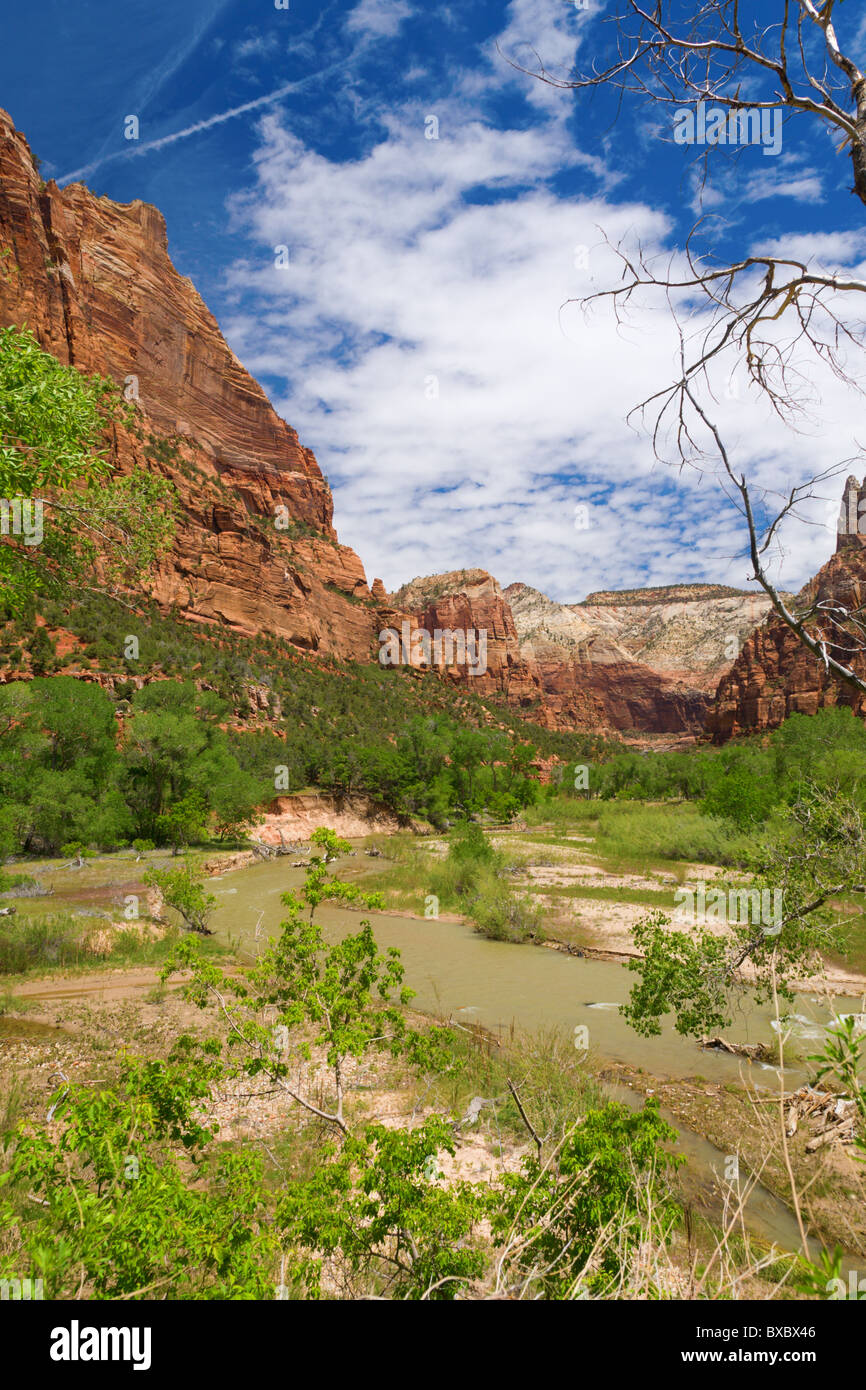 Virgin River in Zion Nationalpark Stockfoto