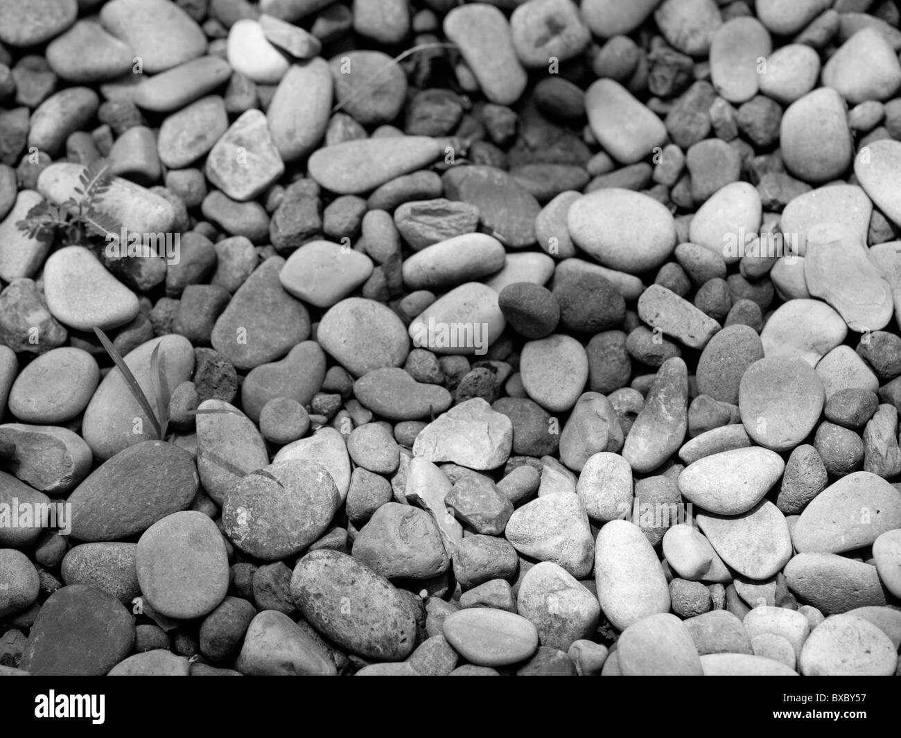 Schwarz / weiß Bild des kleinen Felsen Kiesel Stockfoto