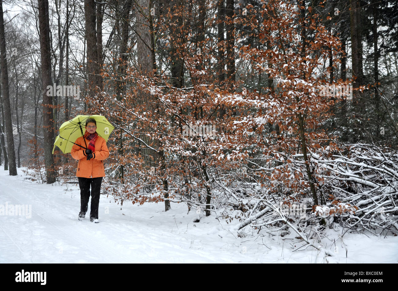 Ältere Frau, Wandern im Schnee mit Regenschirm Stockfoto
