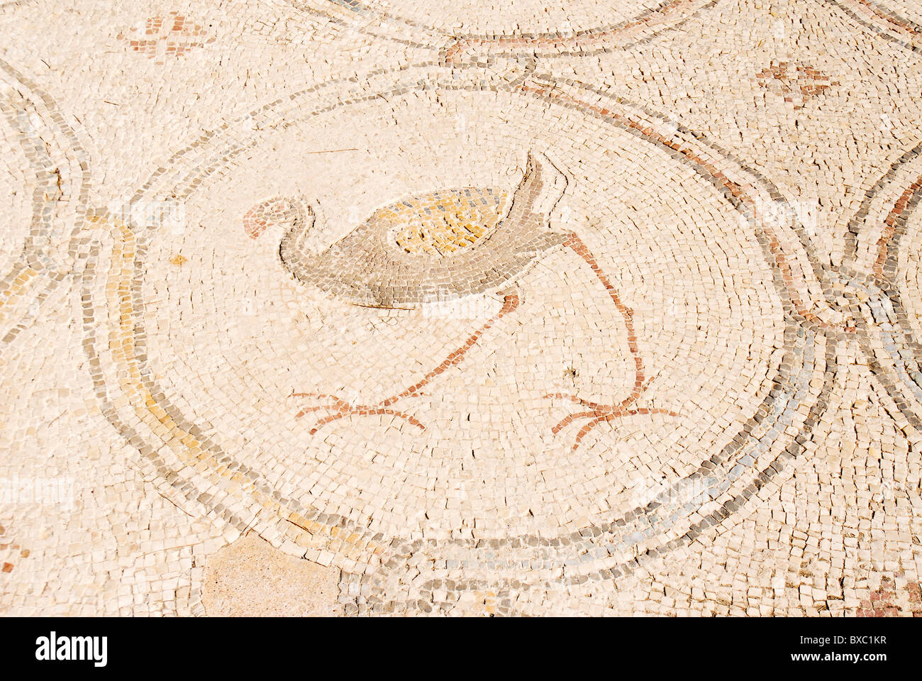 Der Palast der "Vogel-Mosaik" a 14,5 x 16 m Stock einer Villa aus der byzantinischen Zeit Stockfoto