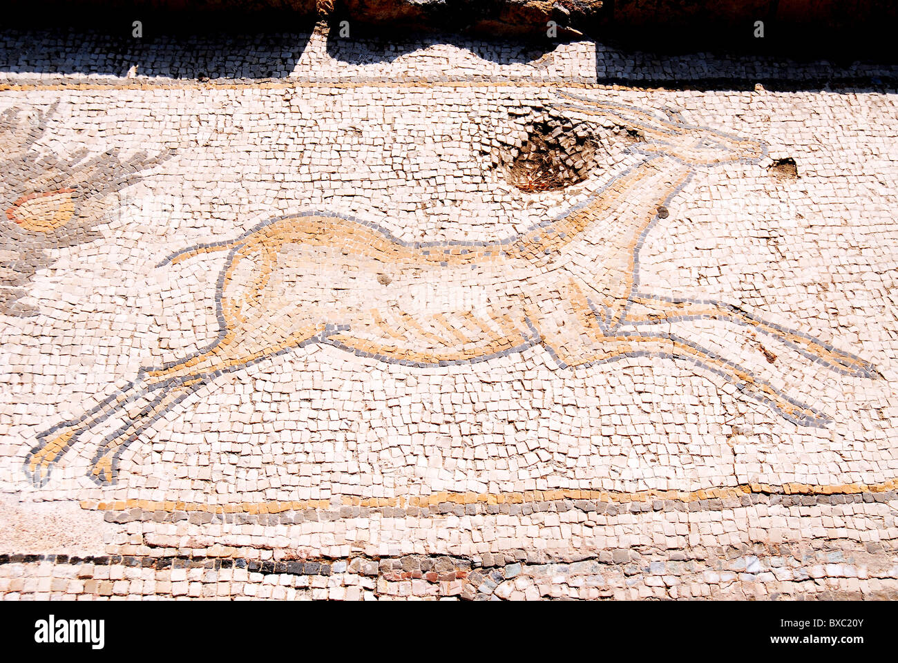 Der Palast der "Vogel-Mosaik" a 14,5 x 16 m Stock einer Villa aus der byzantinischen Zeit Stockfoto